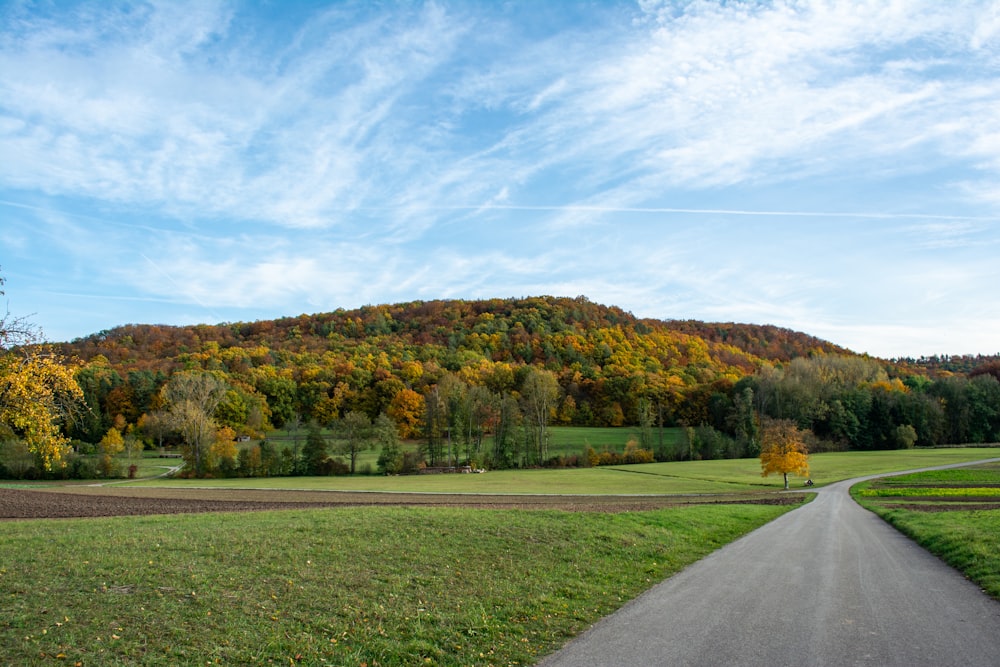 a dirt road going through a lush green field