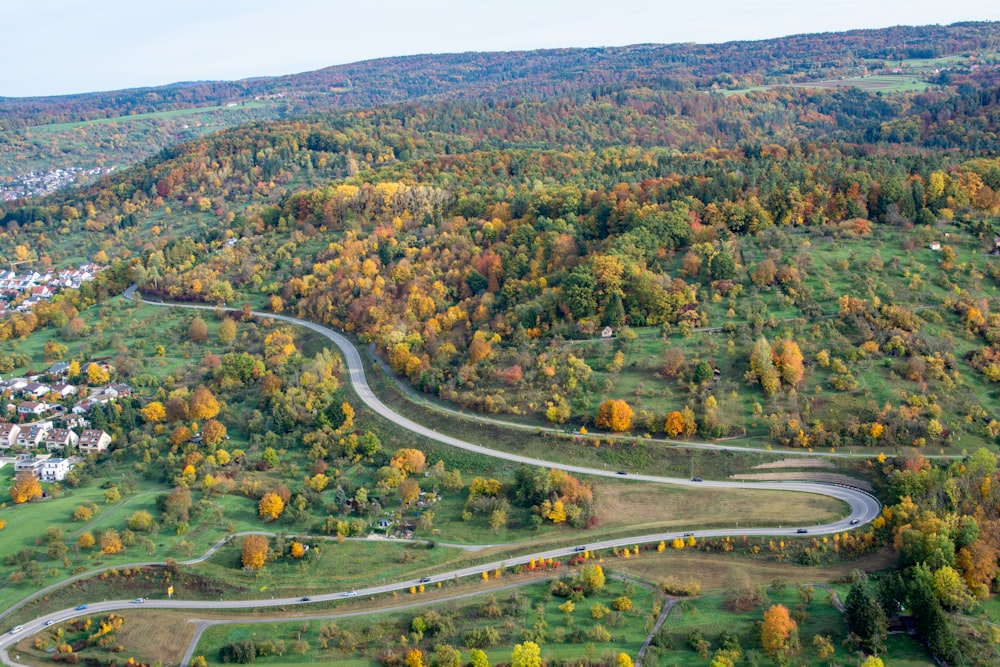 Vue aérienne d’une route sinueuse entourée d’arbres