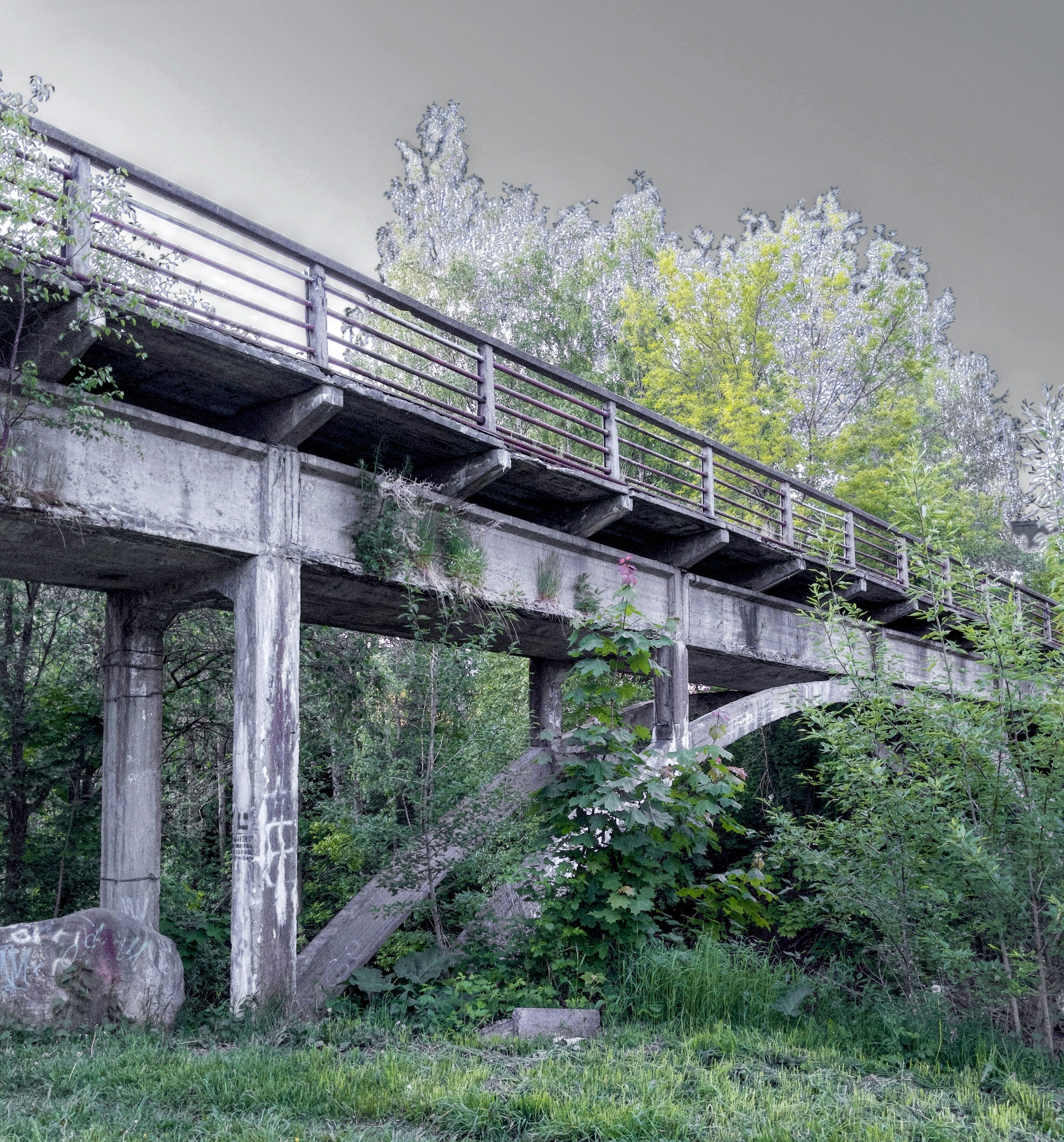 Photo by tolmachlegal