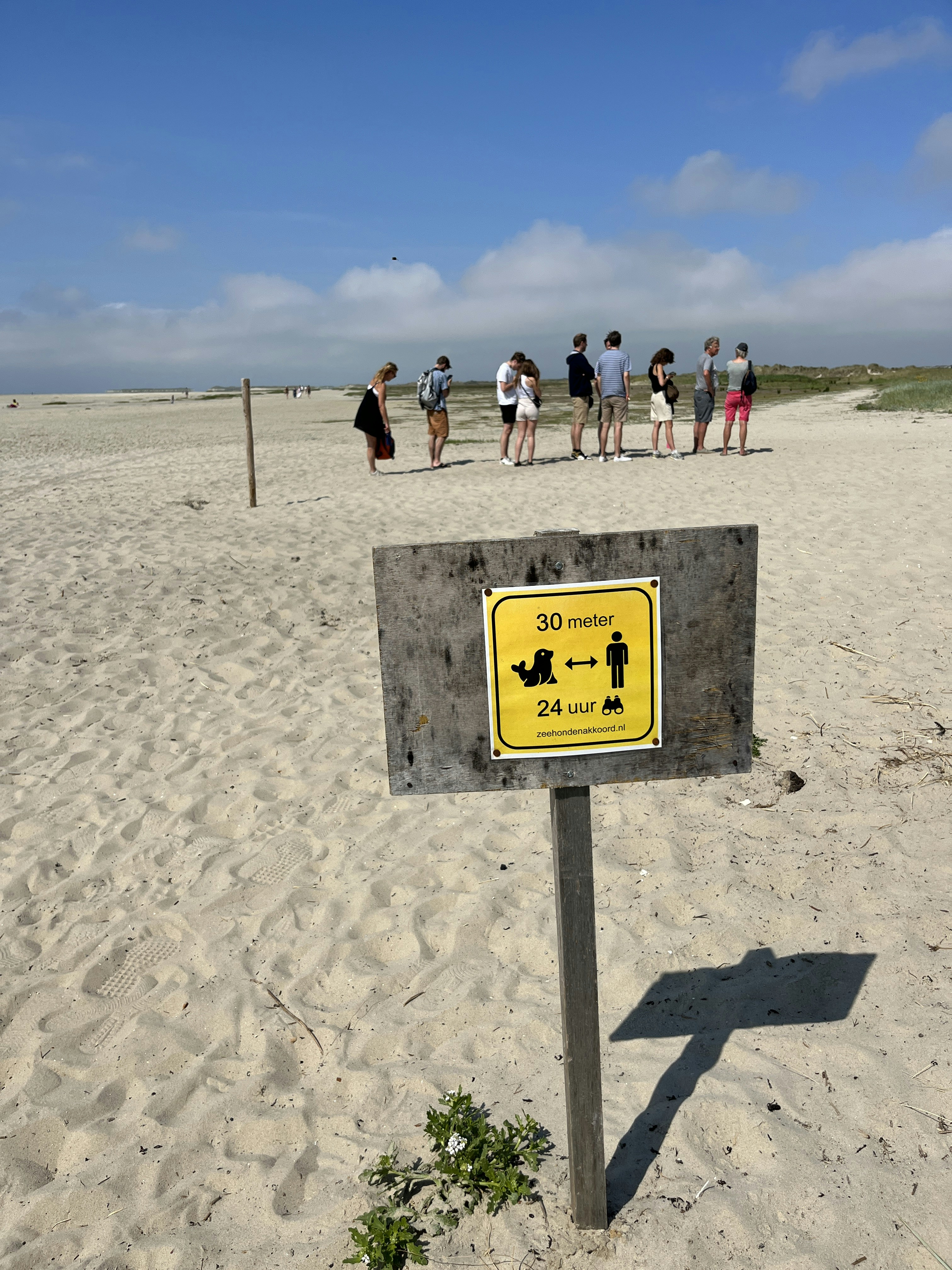 Playa Prohibida photo 3