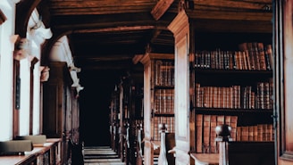 A serene seminary library aisle lined with rows of ancient texts and golden accents on the shelves.