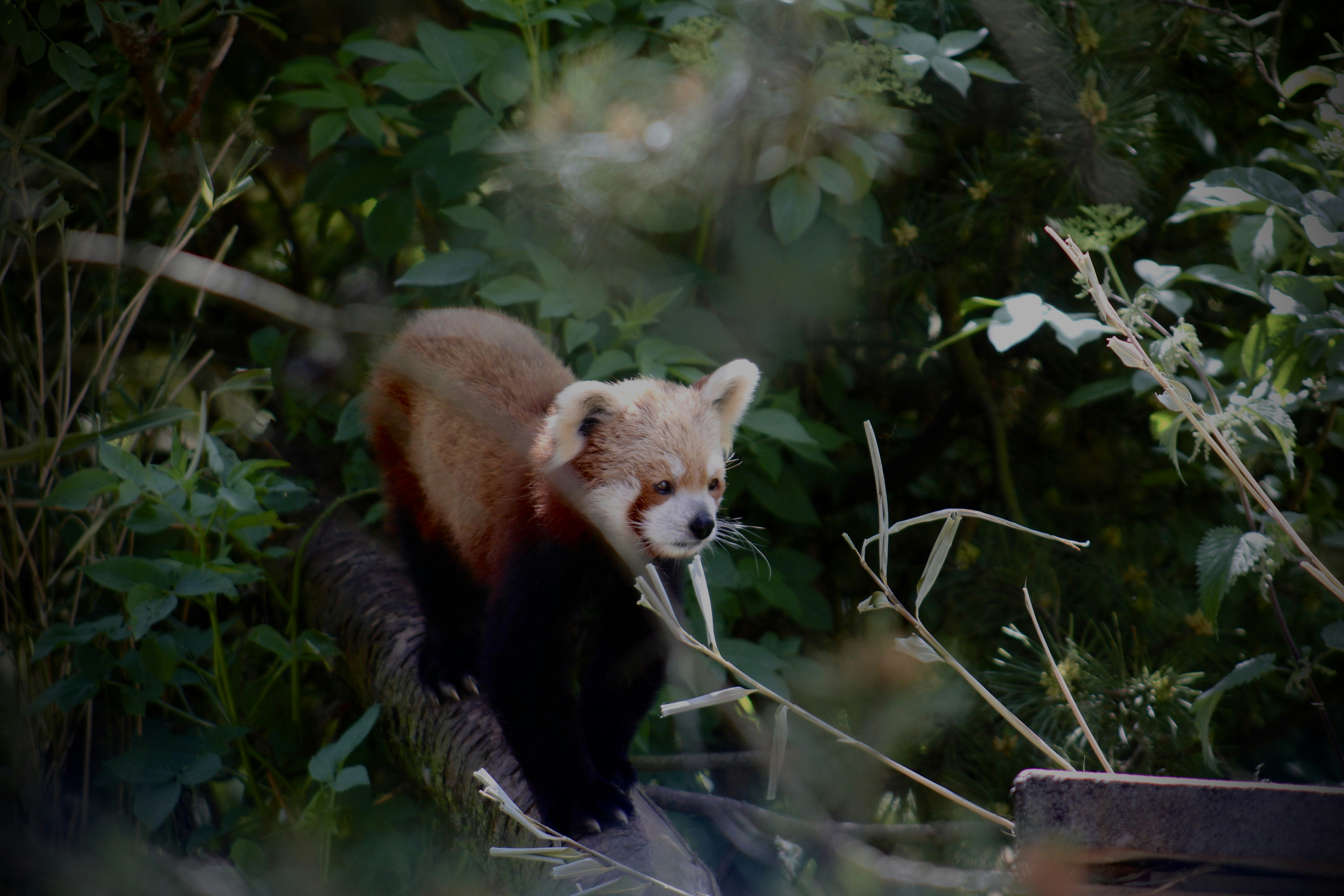 Photo by julia_fiander