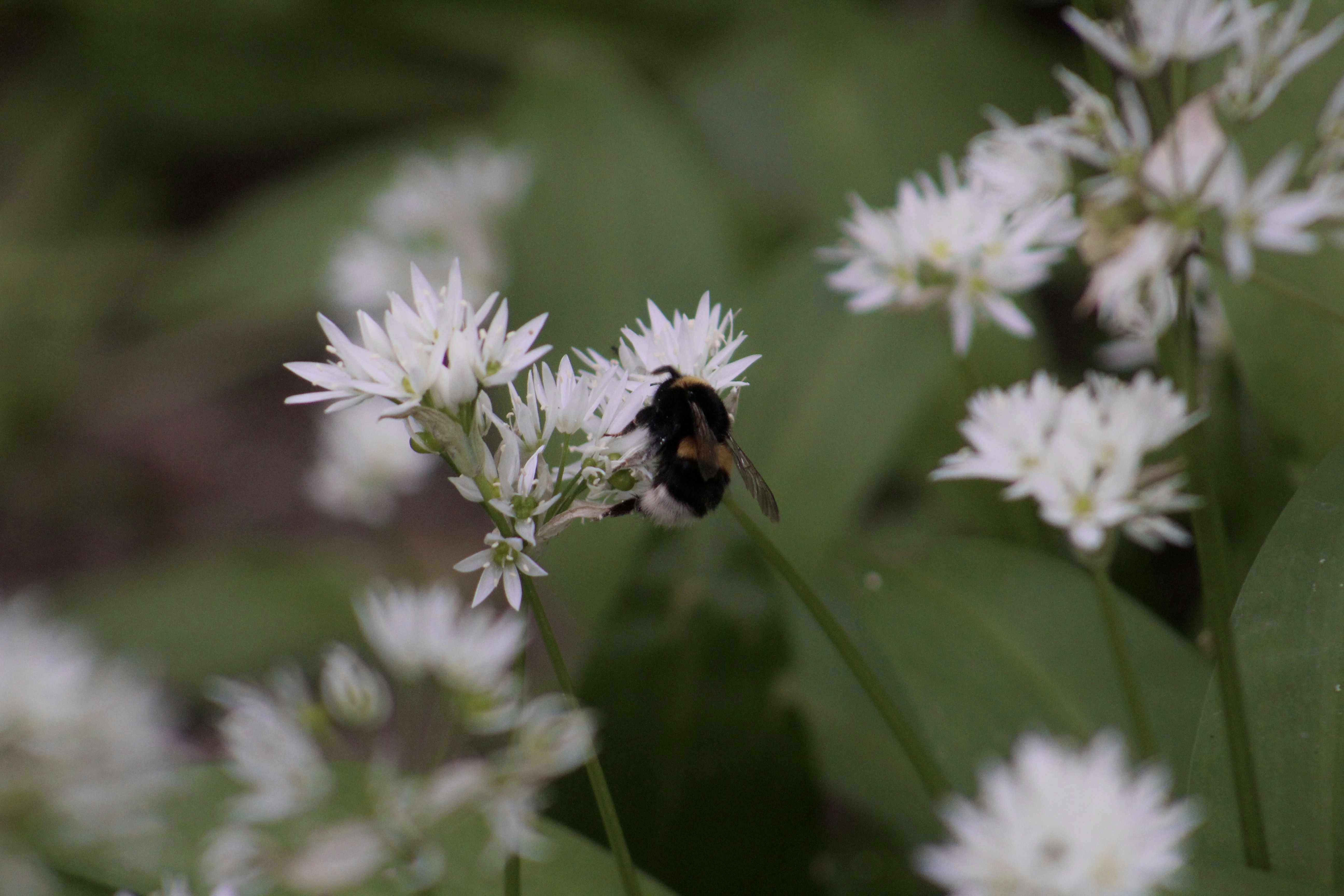 Photo by julia_fiander