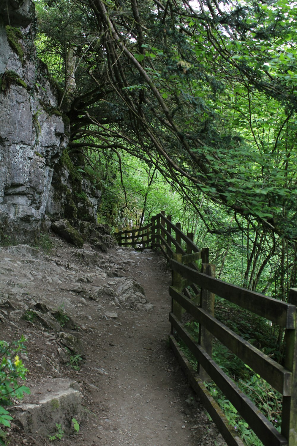 a wooden fence on the side of a dirt path