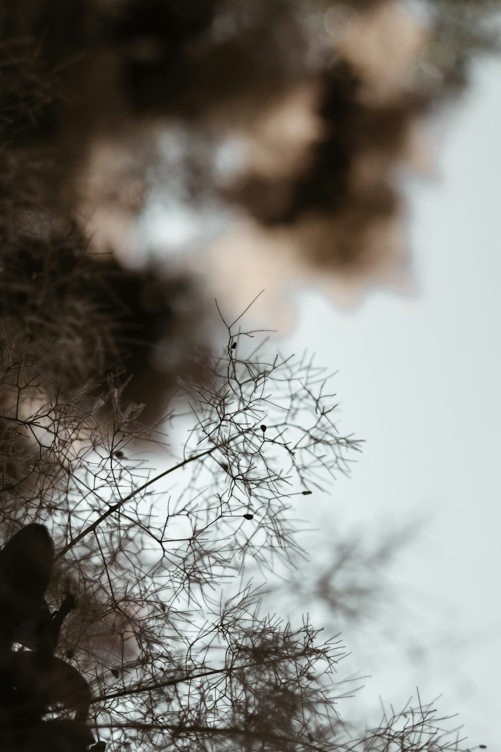 a bird is perched on a tree branch