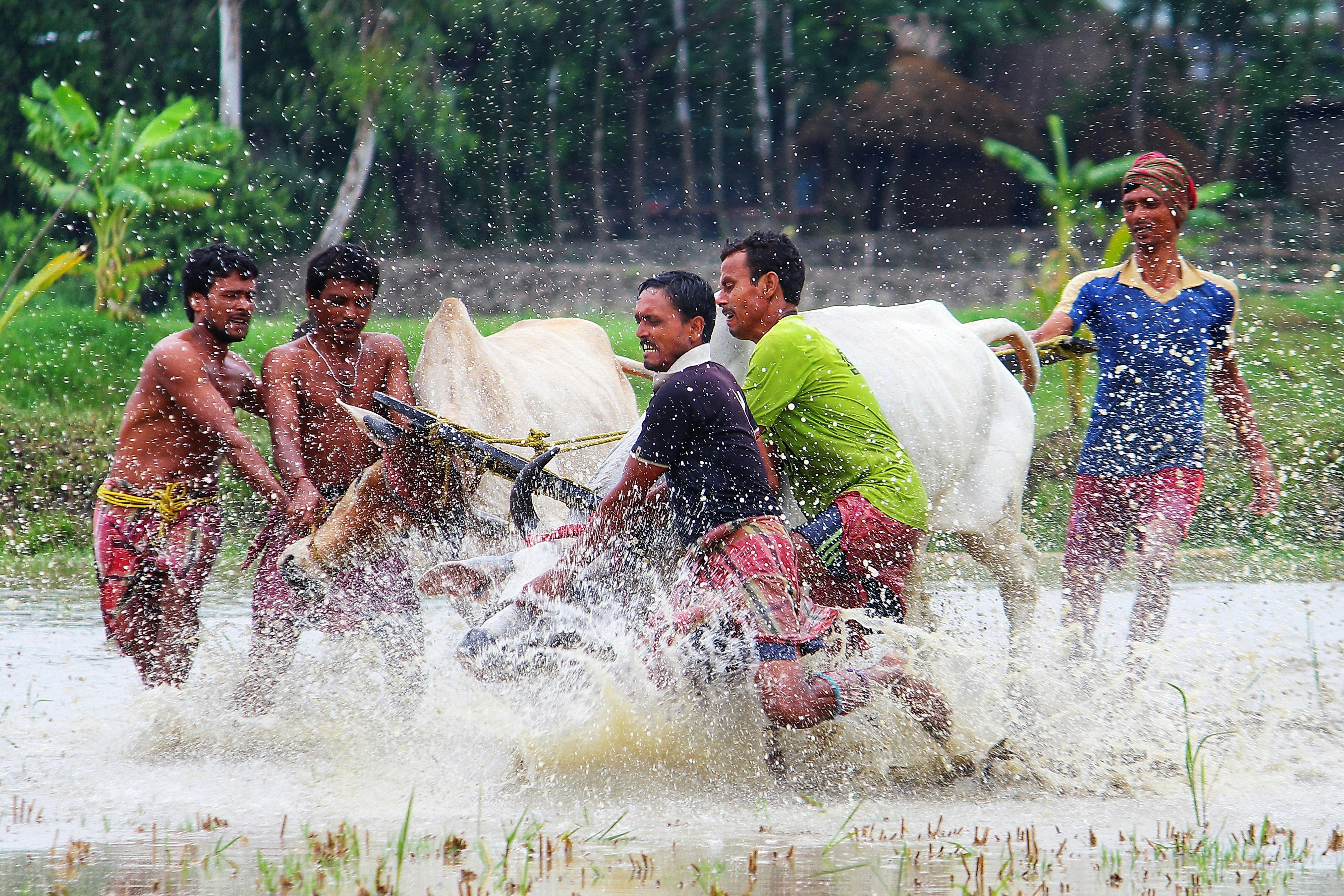Newsfeed: Floods Displace Thousands in Assam