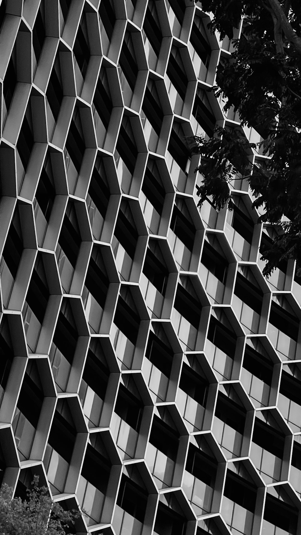 a building made of hexagonal blocks with a tree in front of it