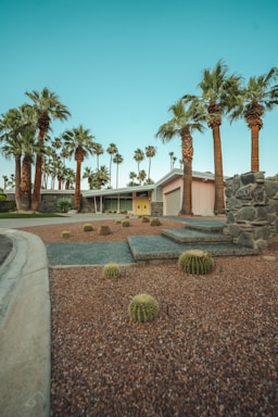 a house with palm trees in front of it