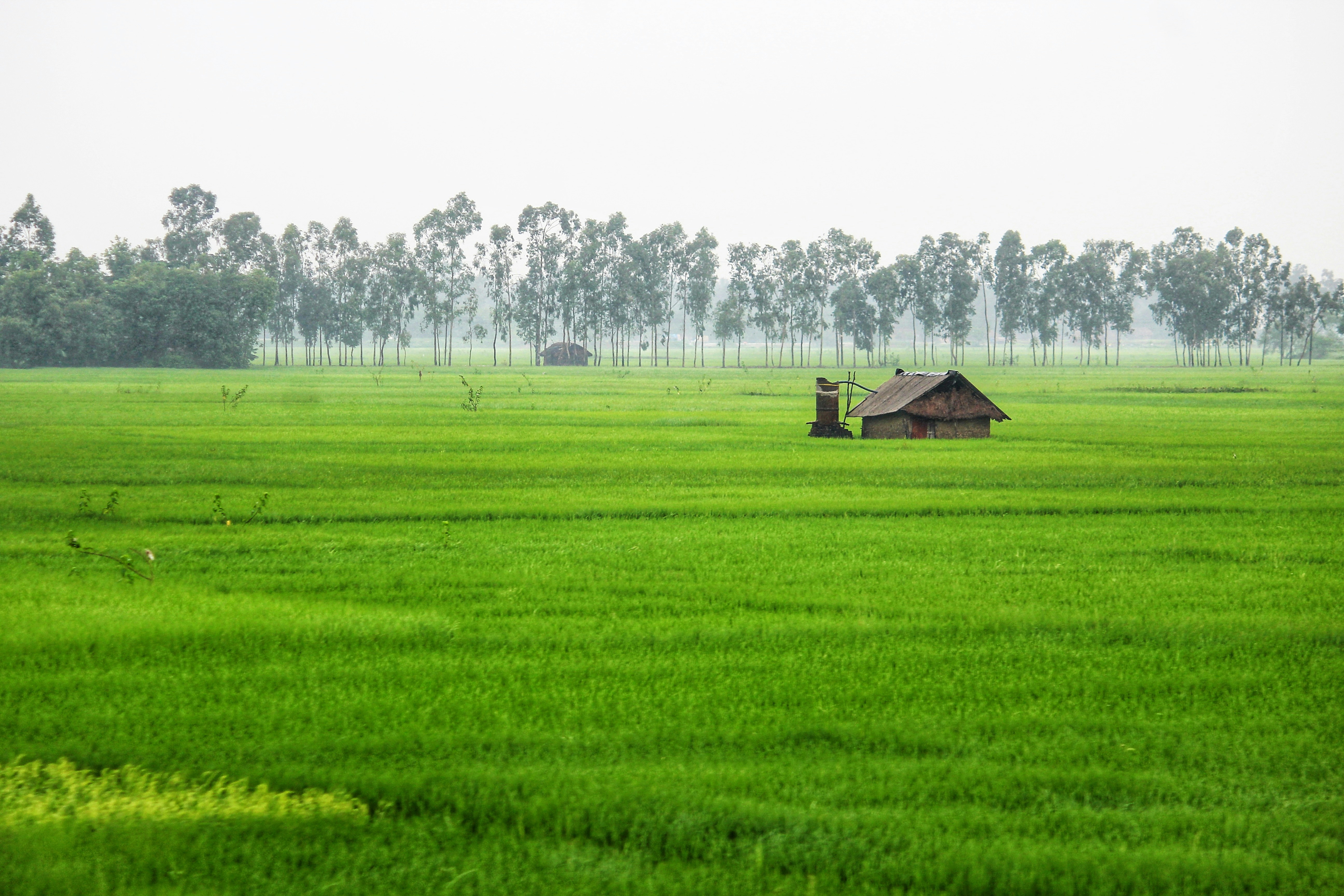 Photo by dibakar16roy