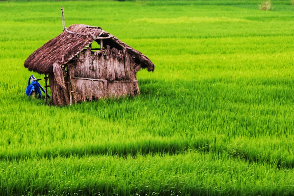 a small hut sitting in a green field