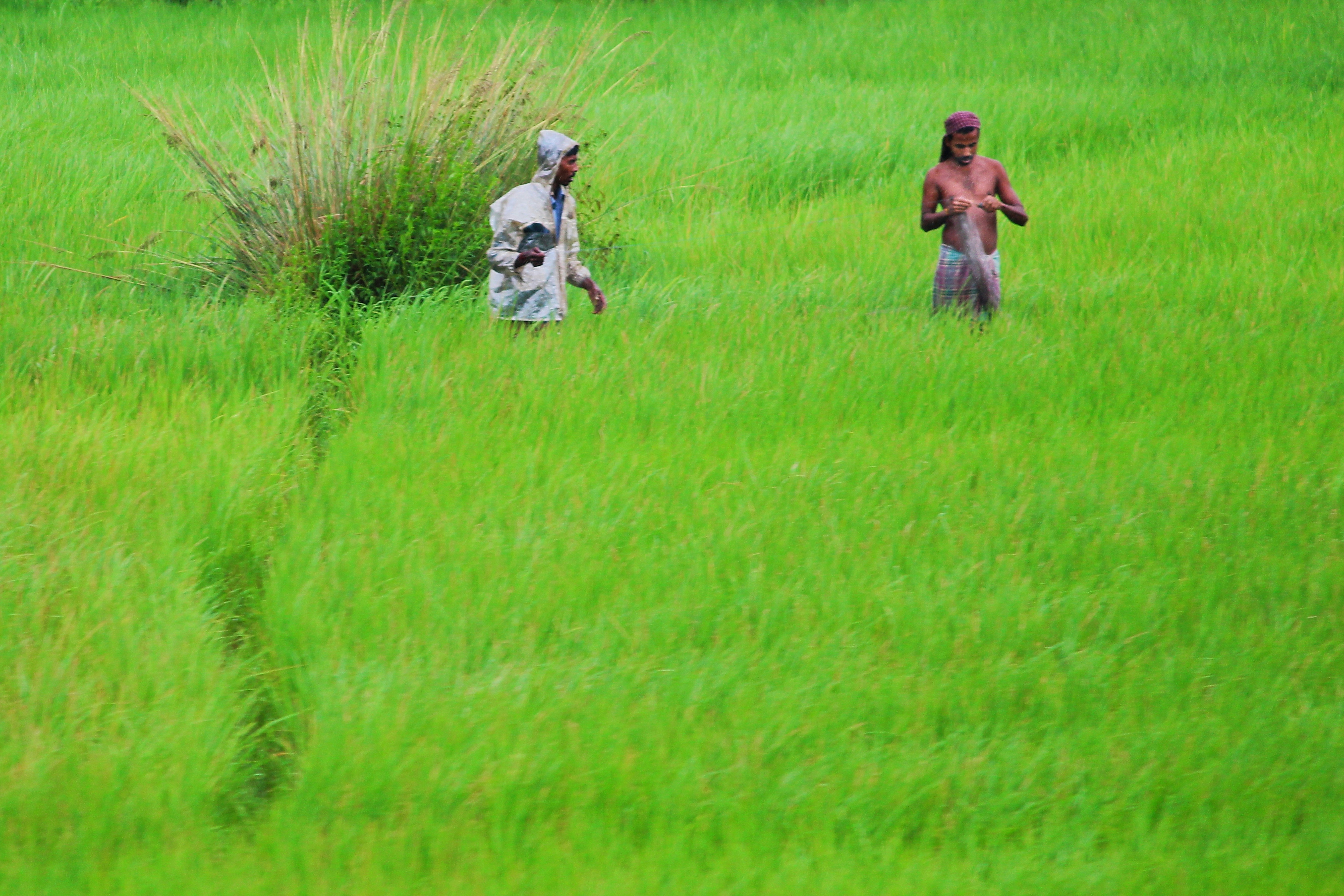 Photo by dibakar16roy