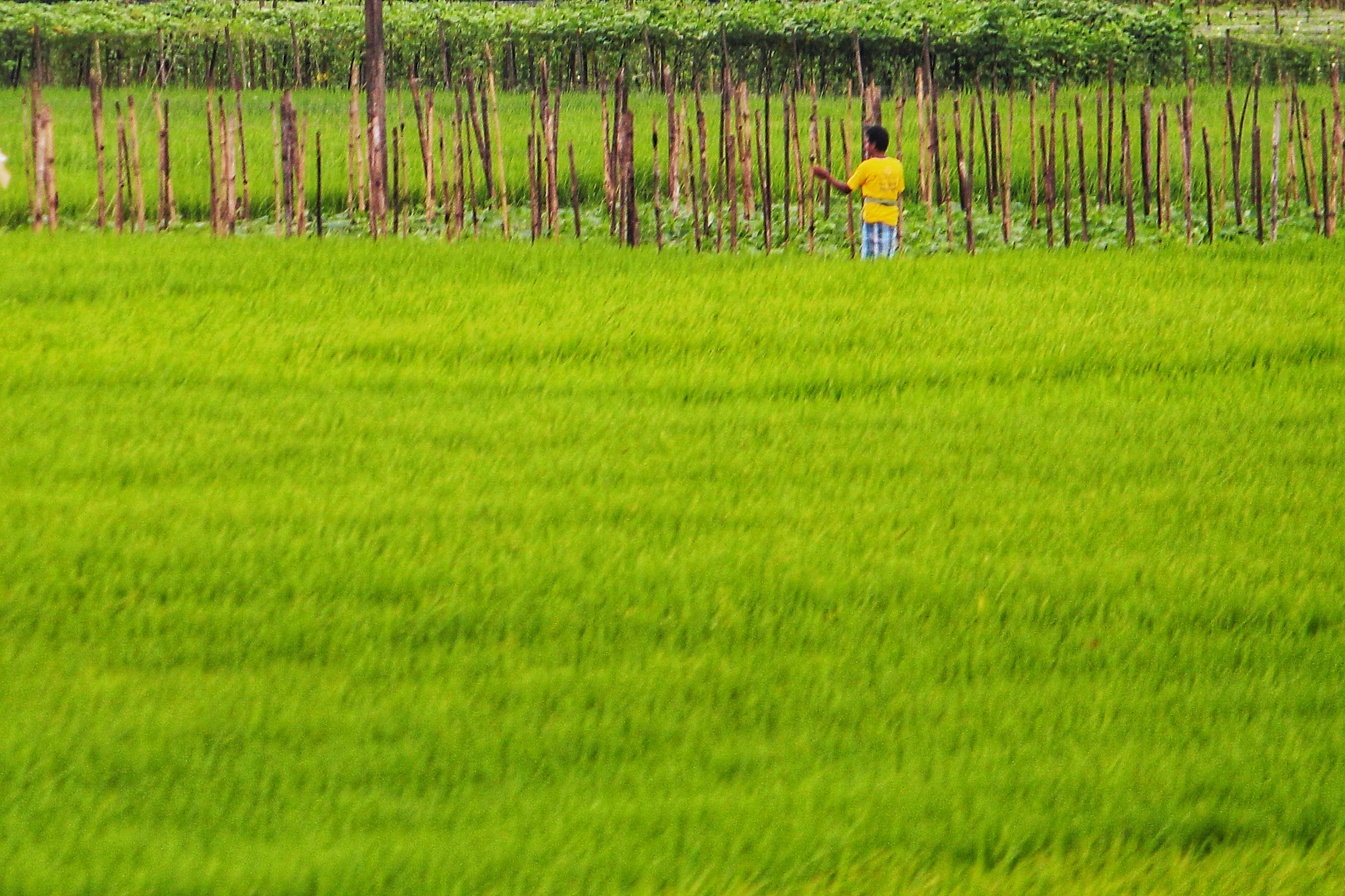 Photo by dibakar16roy