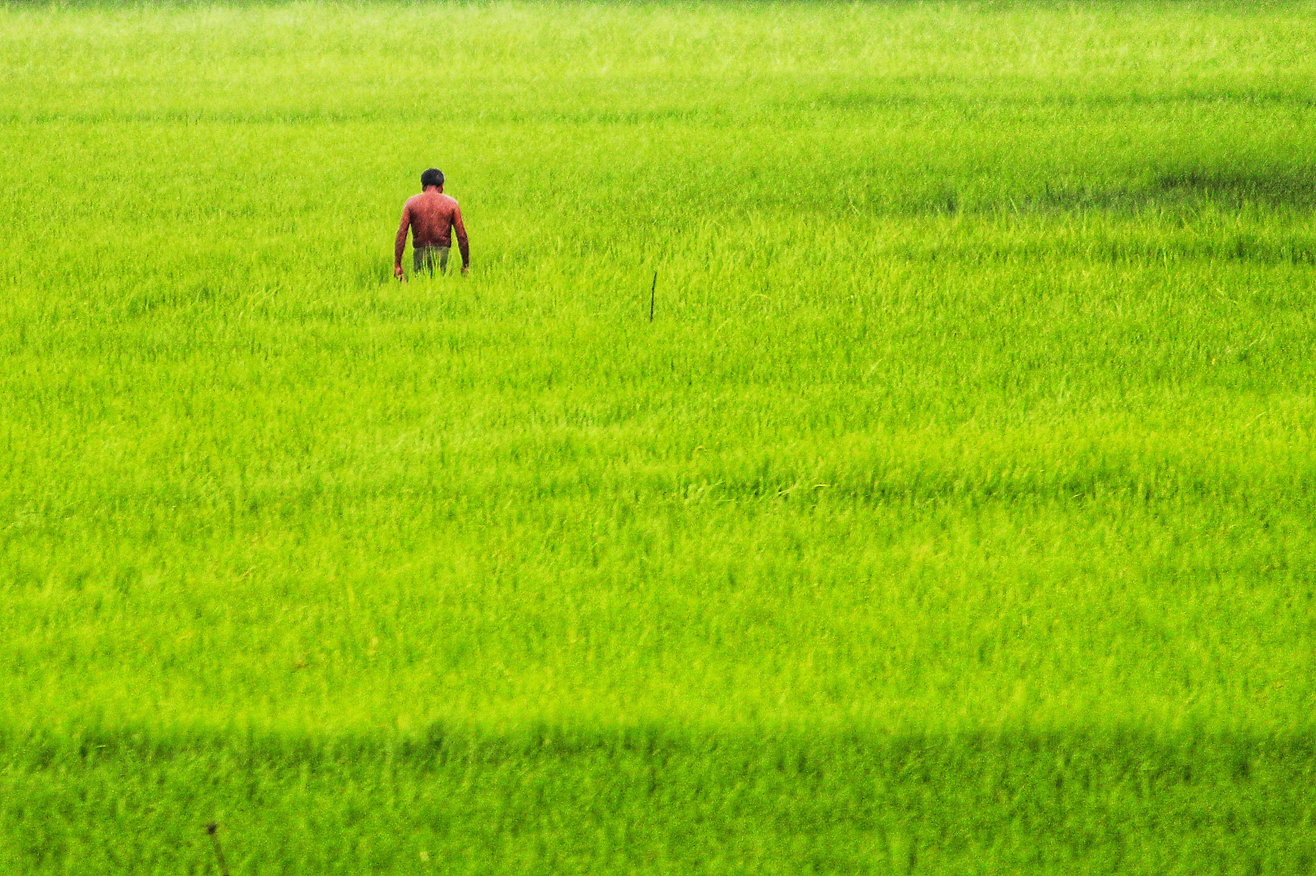 Photo by dibakar16roy