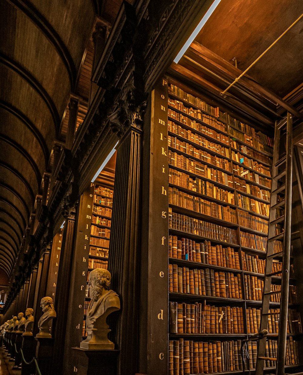 a library filled with lots of books and statues