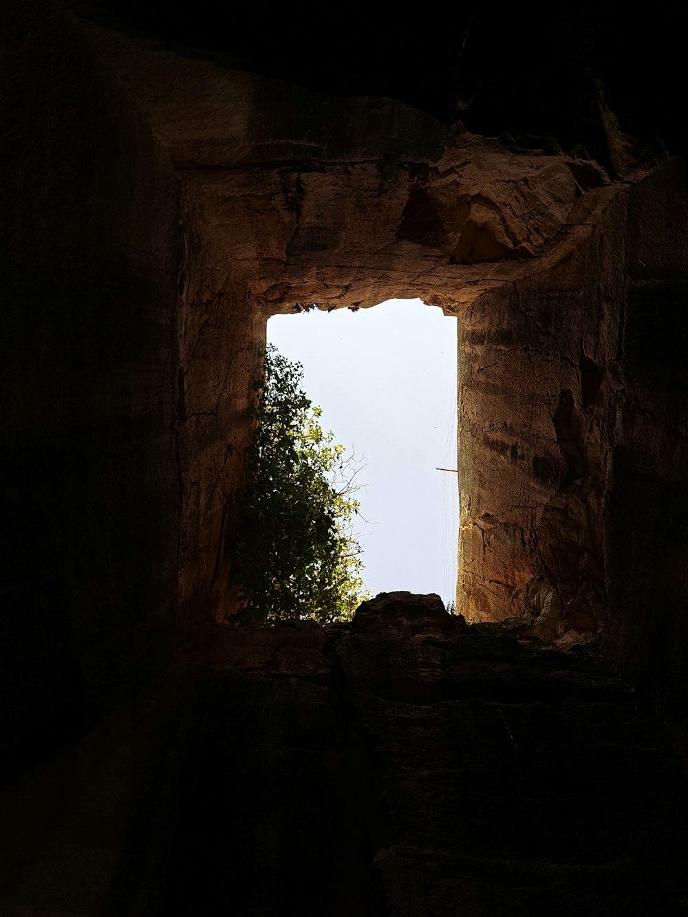 a view of a tree through a window in a cave