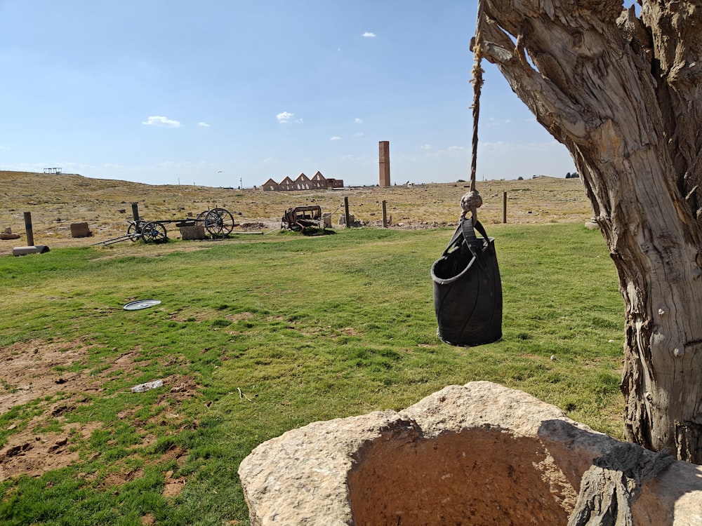 a bag hanging from a tree in a field