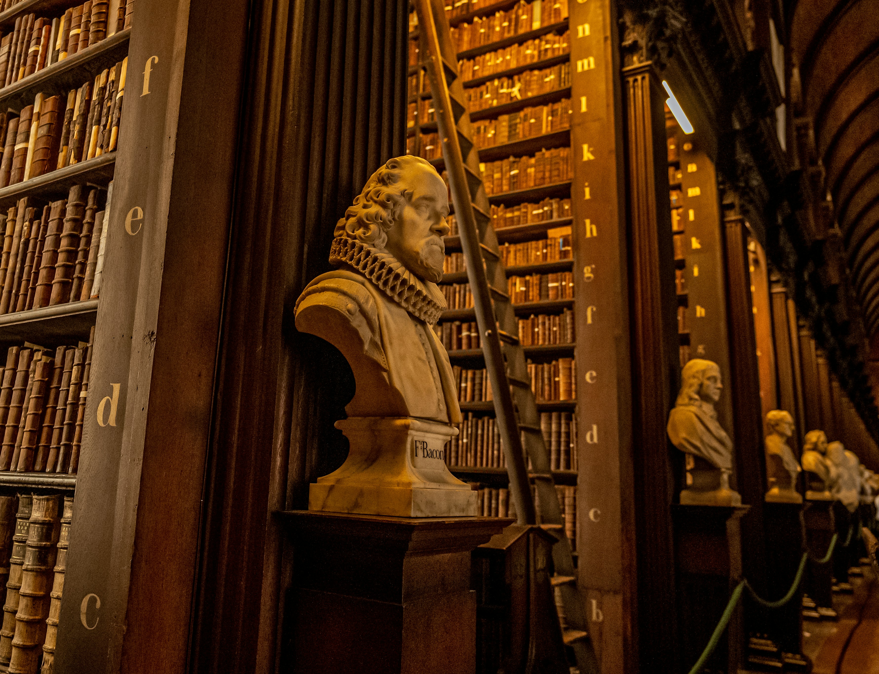 صورة المعرض