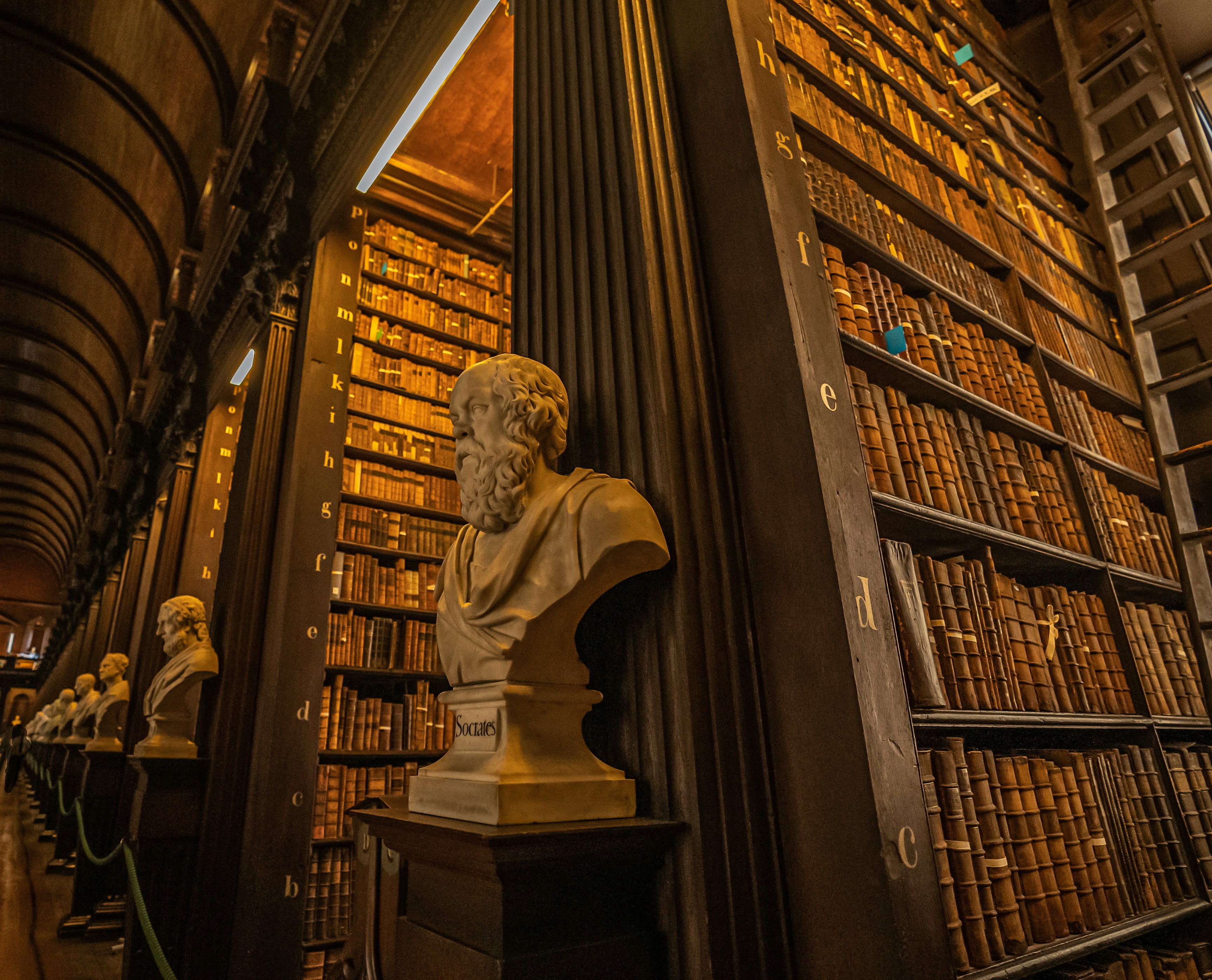 a bust of a man in front of a library full of books