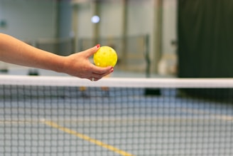 a person holding a tennis ball on a tennis court