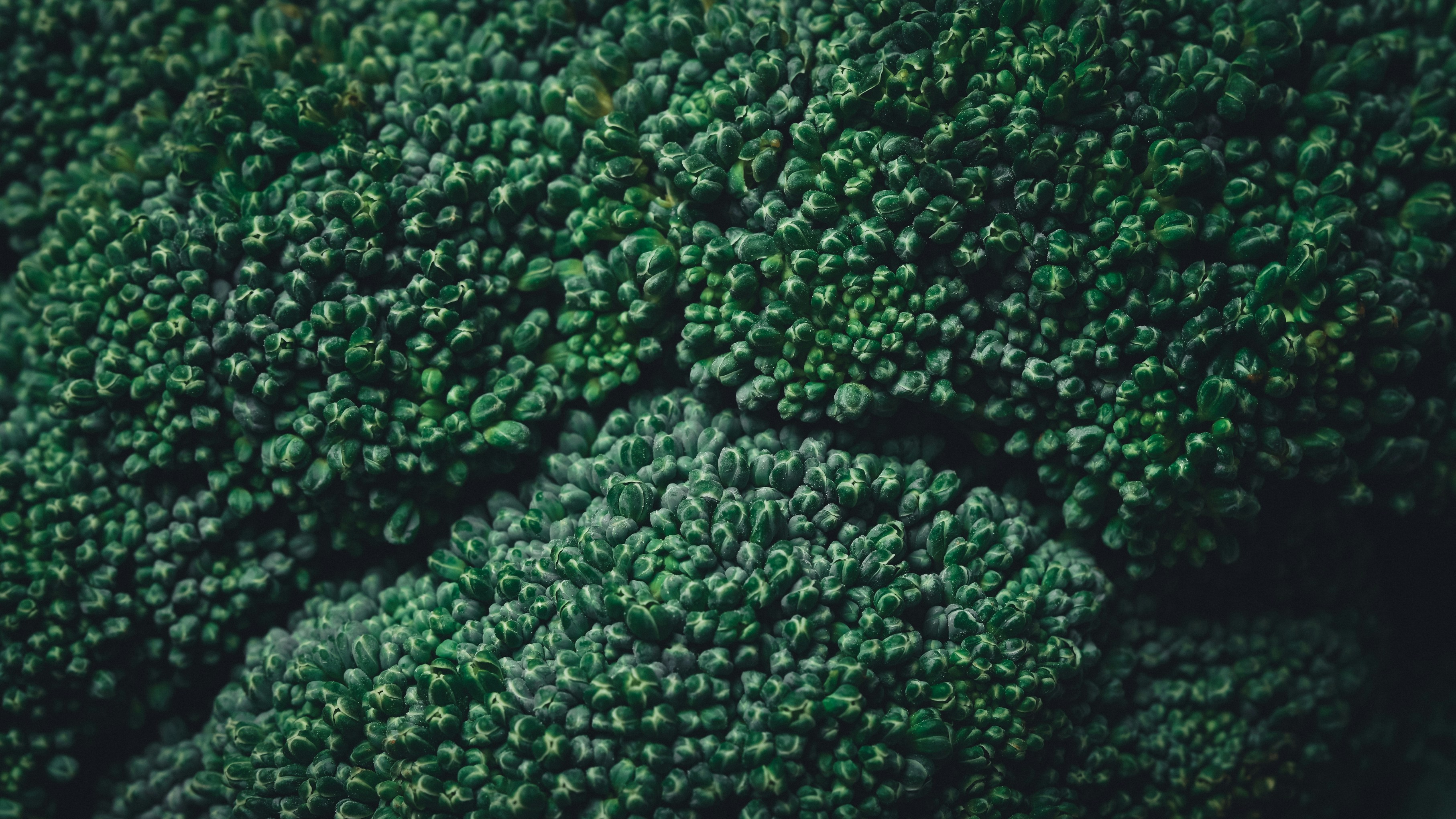 How Dietary Fiber Influences Oxalate Tolerance: 7 Proven Tips