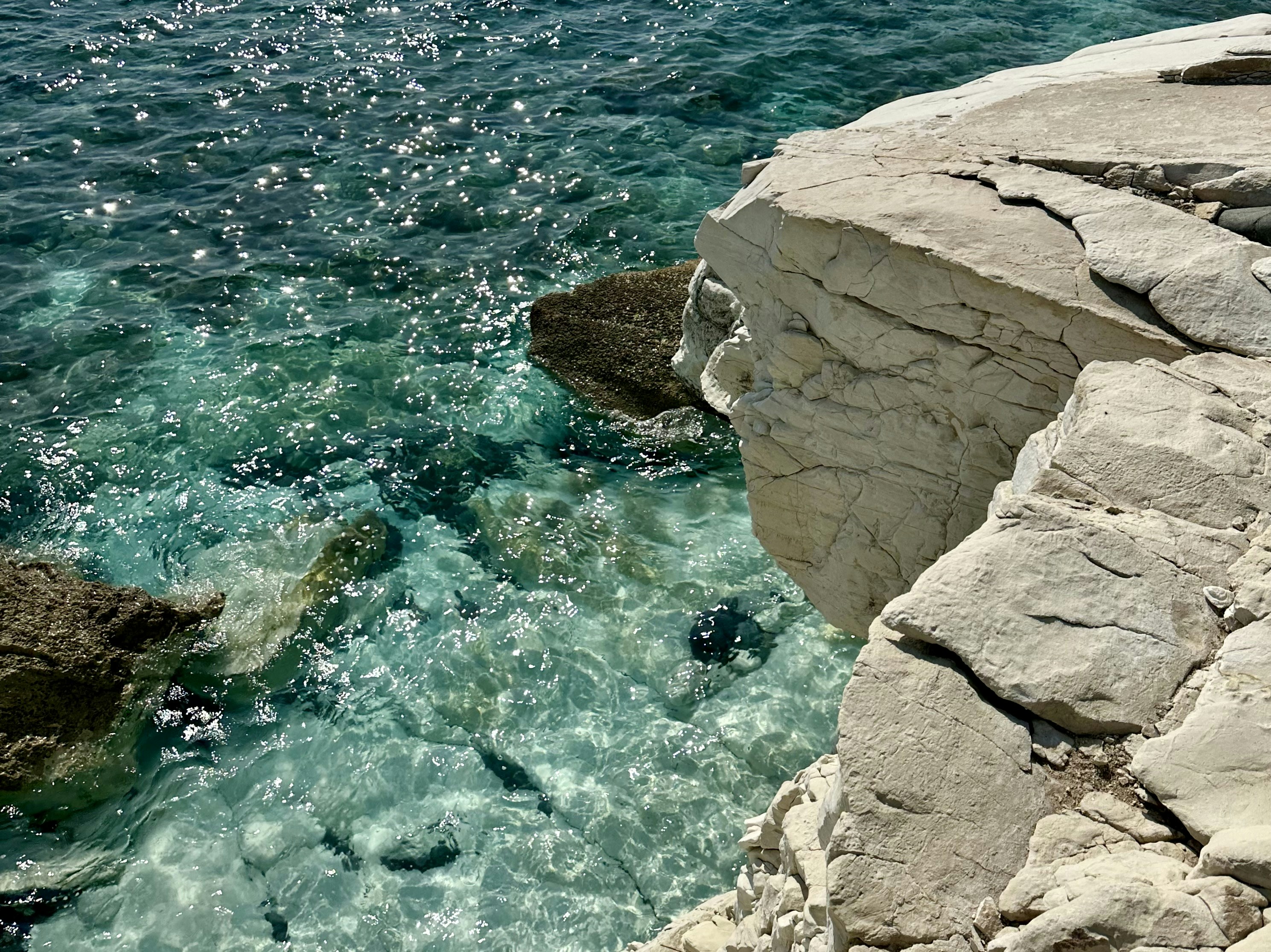 Photo by krlova_anna