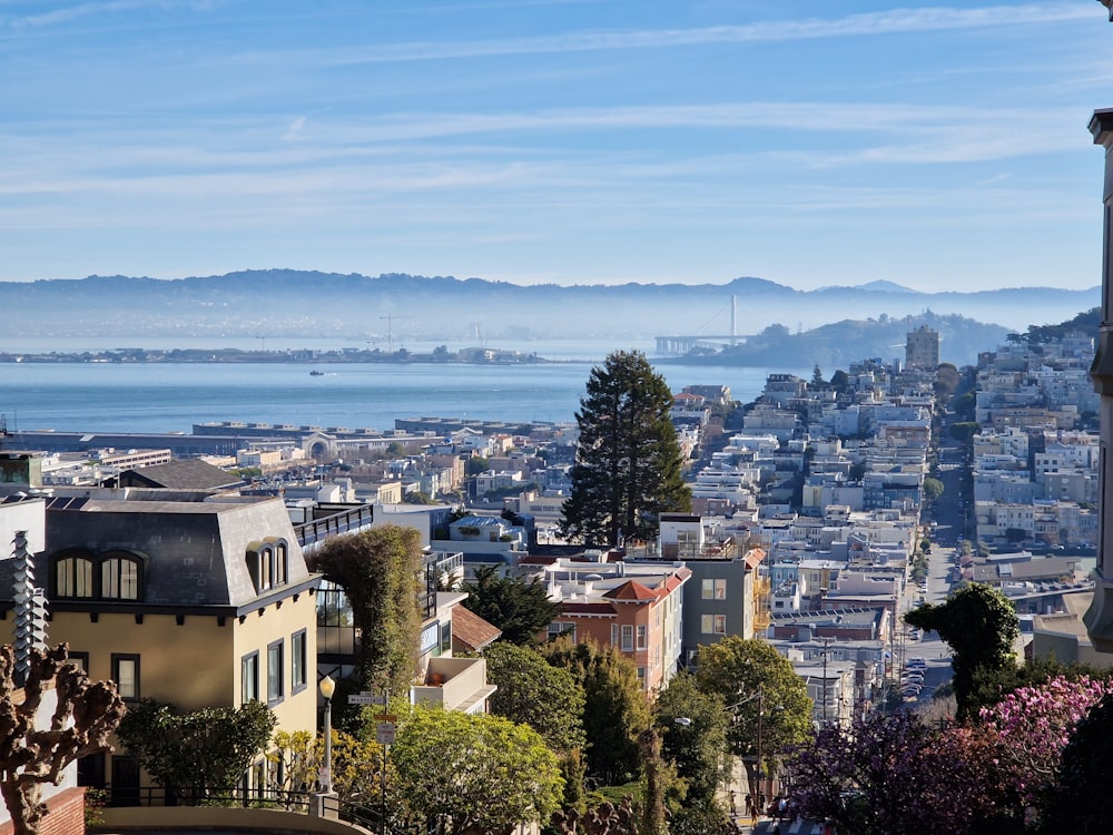 a view of a city and a body of water