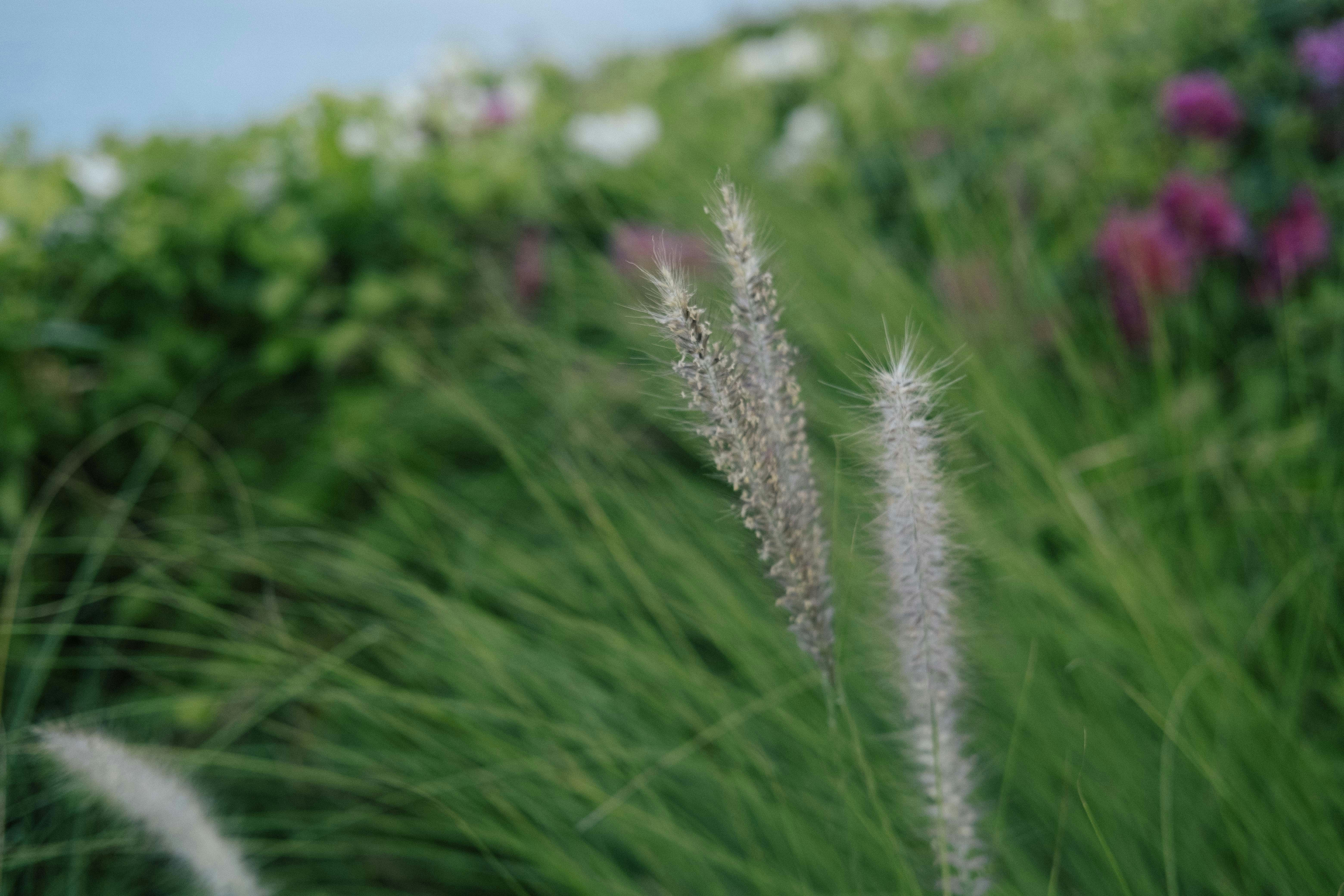 Photo by davidkristianto