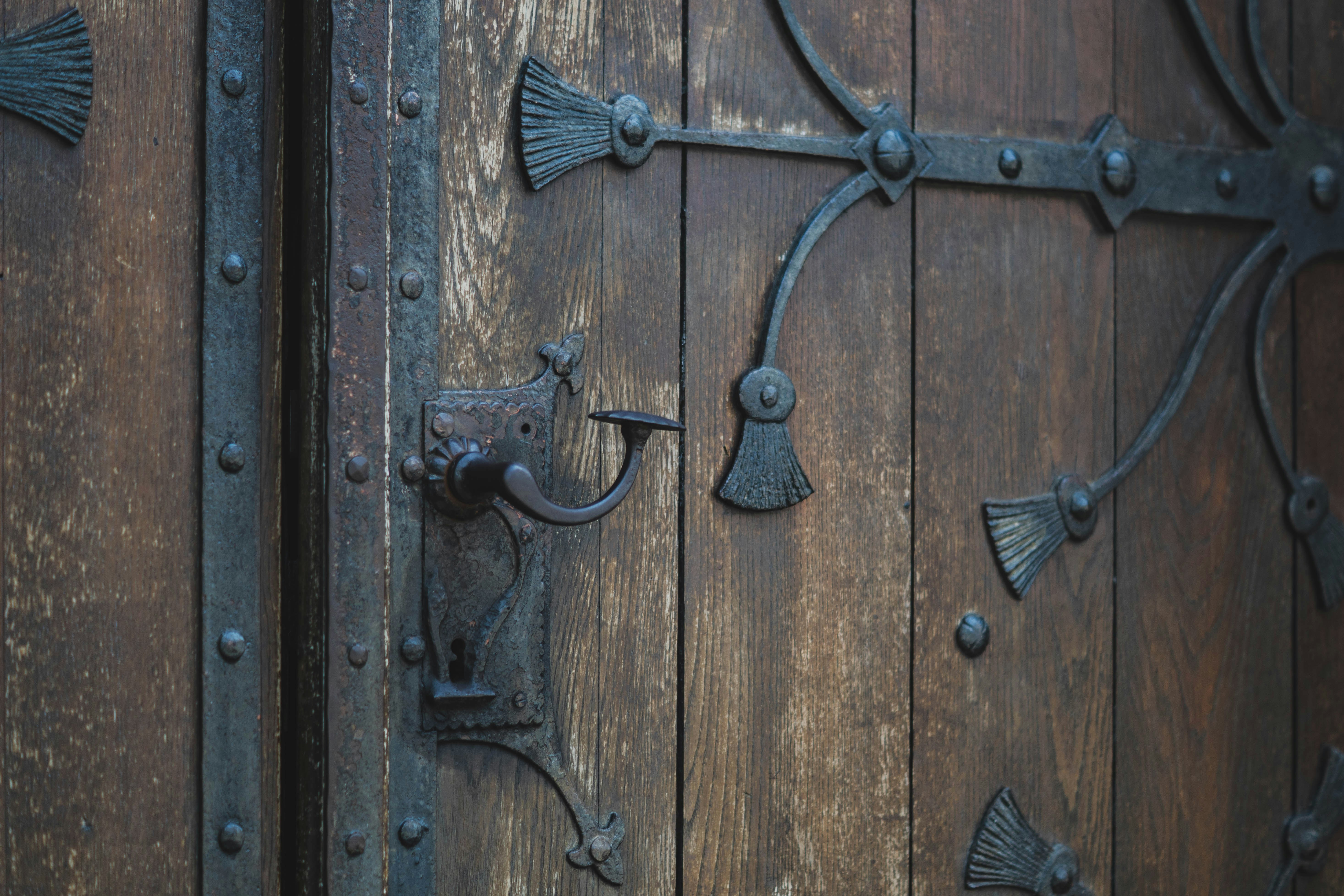 Photo by jbonunsplash