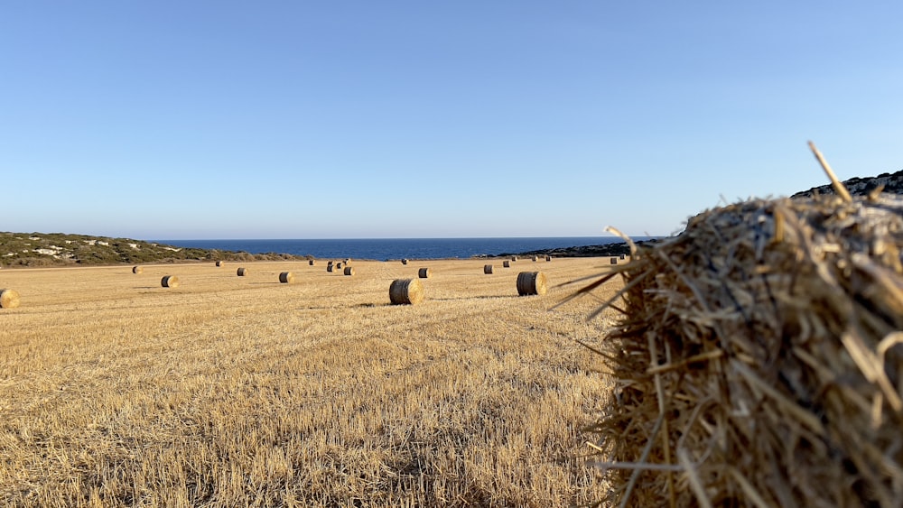 a large field of hay with bales of hay in the foreground