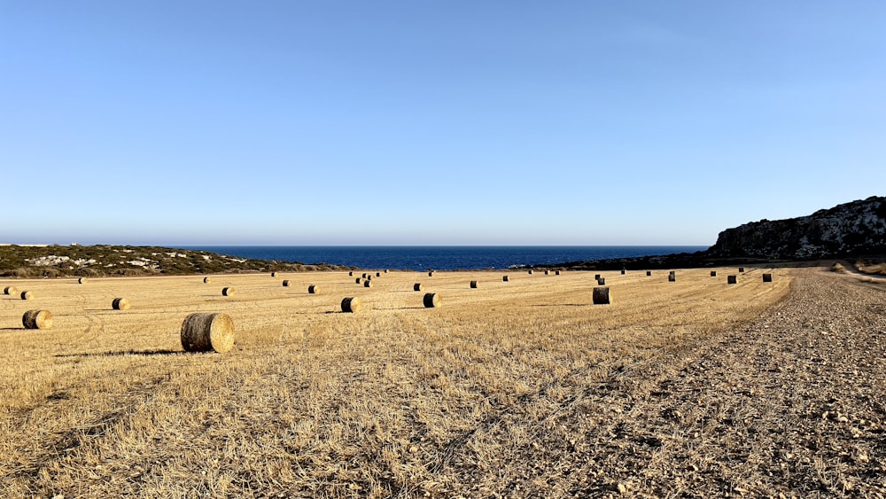 a field with bales of hay in the middle of it