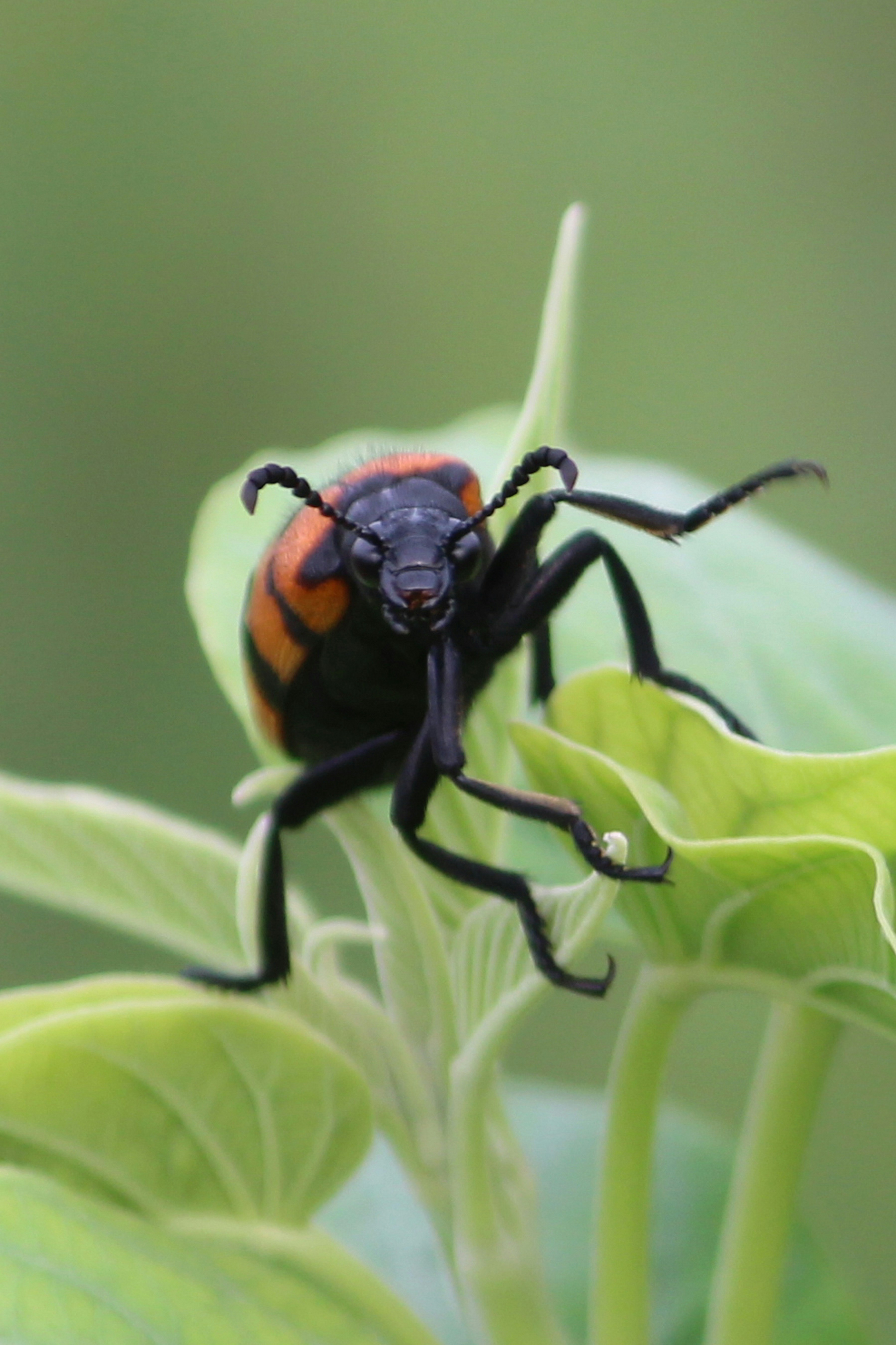 Photo by dibakar16roy