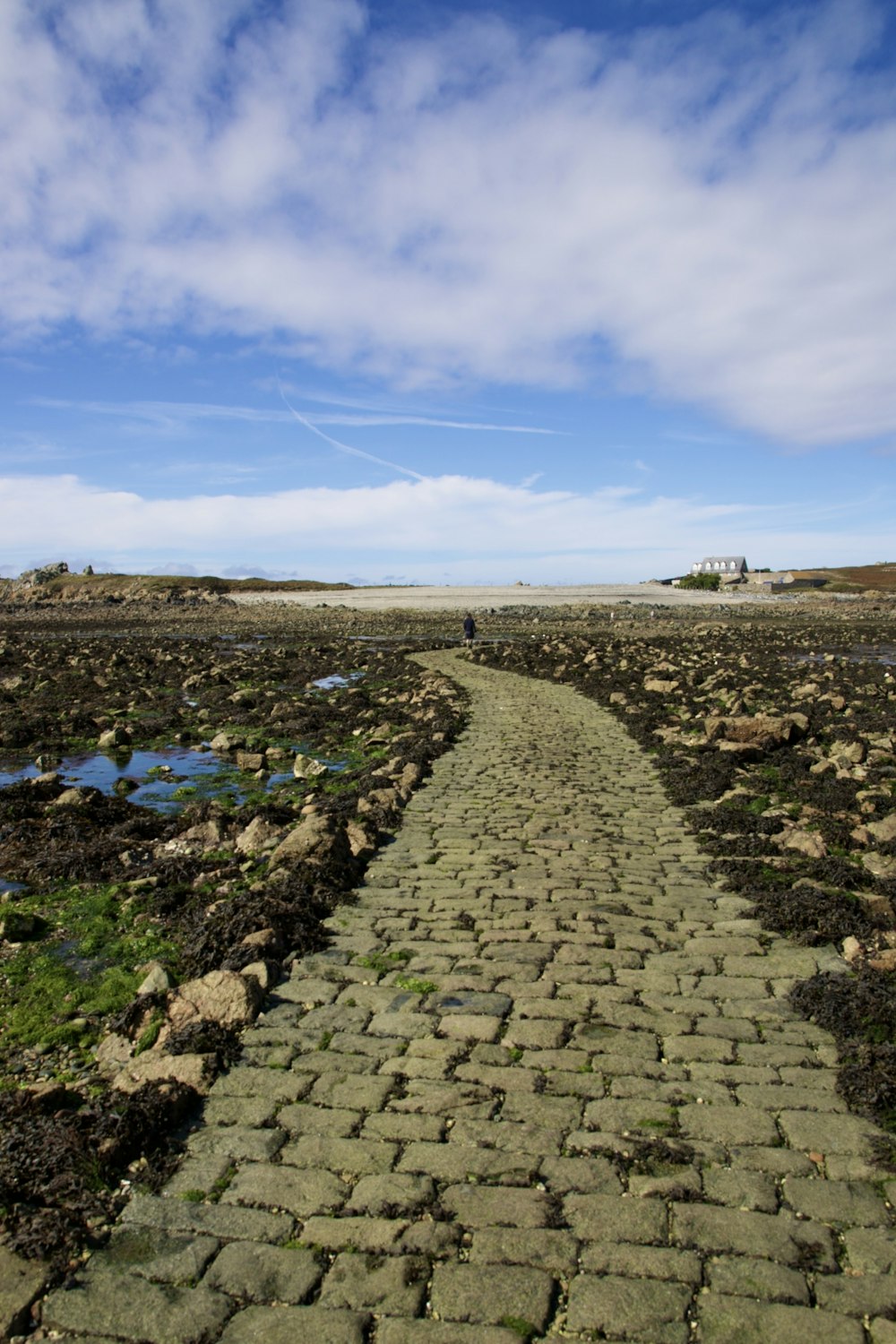 a stone path in the middle of a field