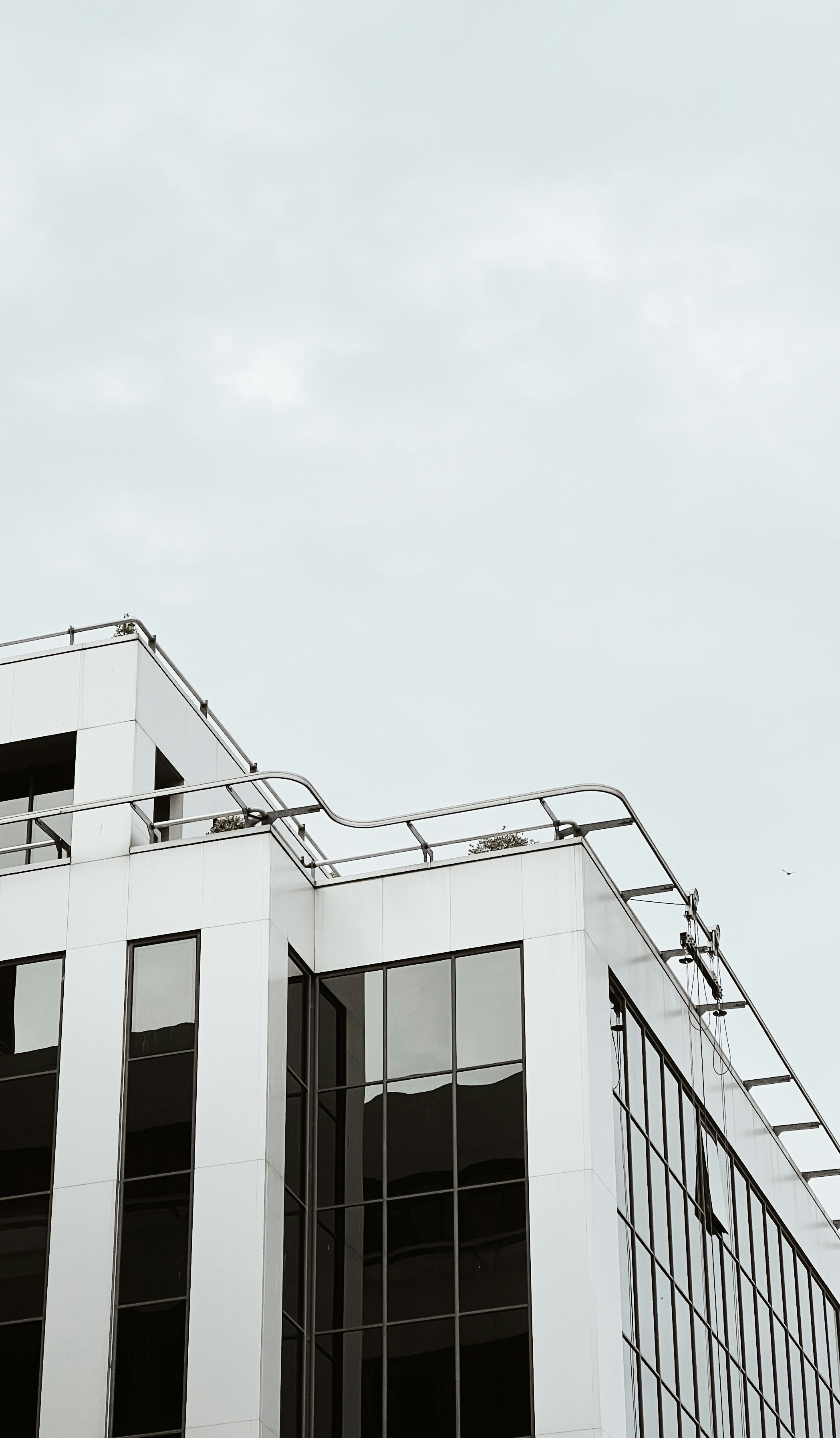 Photo by hossein_khalili