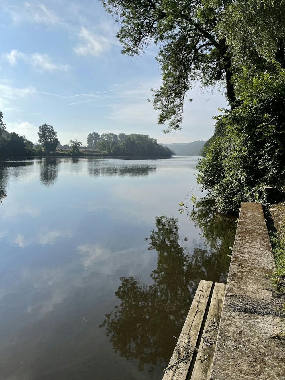 a body of water surrounded by trees and a dock