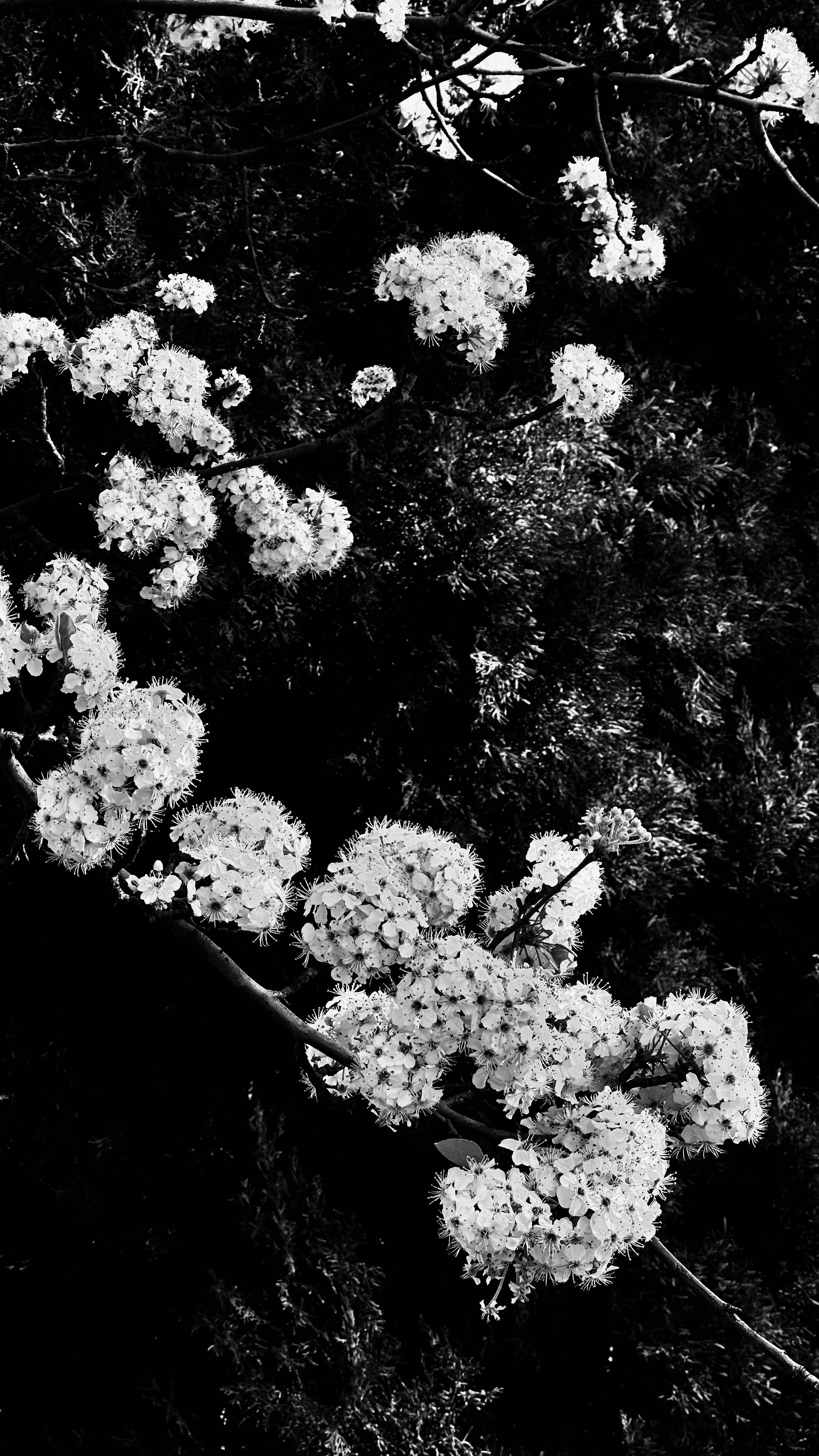 Background image for slide 1