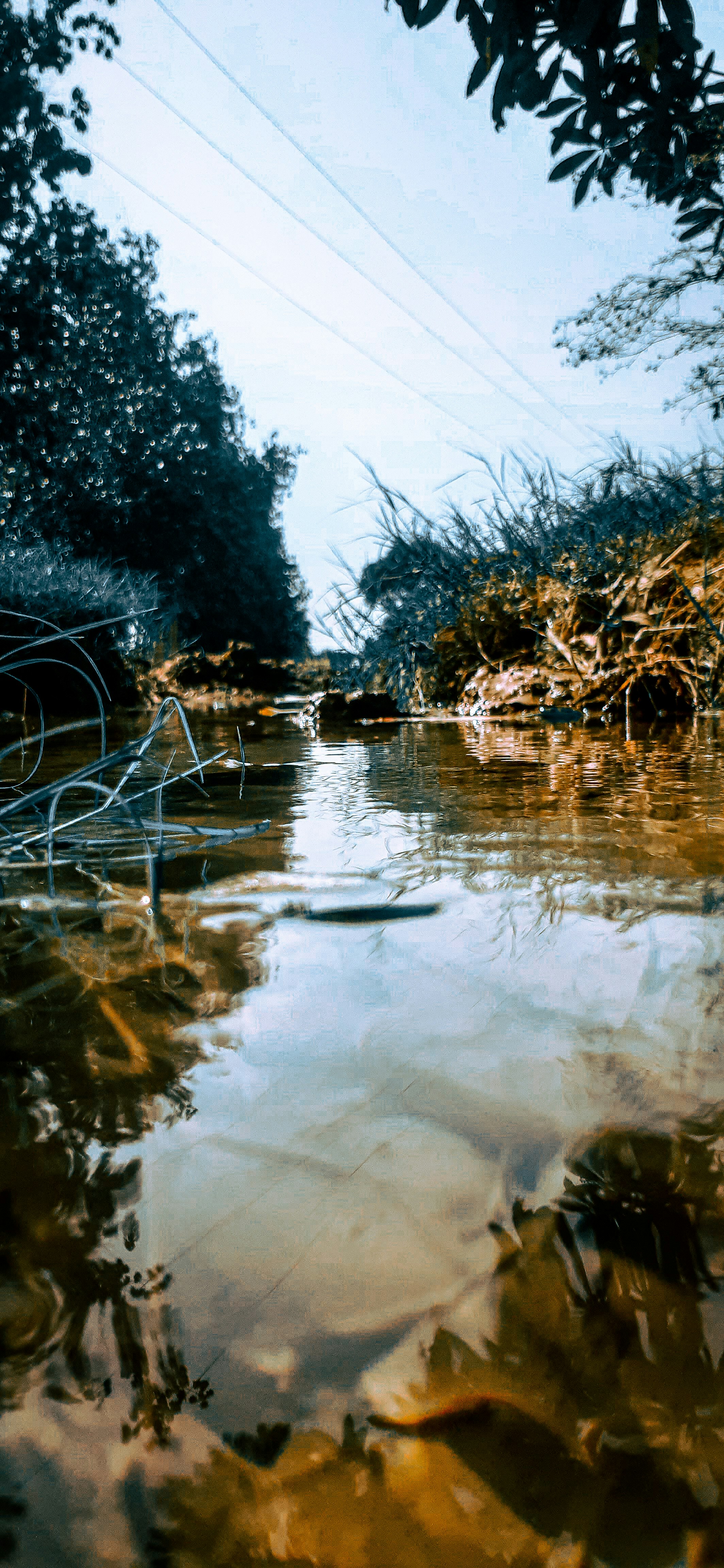 Photo by raghuvanshi077