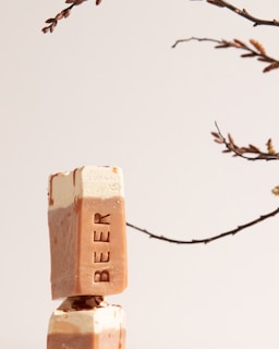 Two bars of soap are stacked on top of each other with a branch of dried leaves in the background. The soap on top has the word 'BEER' engraved on it, and both bars have a marbled appearance with shades of beige, brown, and cream.