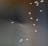 A group of small, delicate insects suspended in mid-air against a blurred background. The insects have translucent wings, creating a light, ethereal effect.