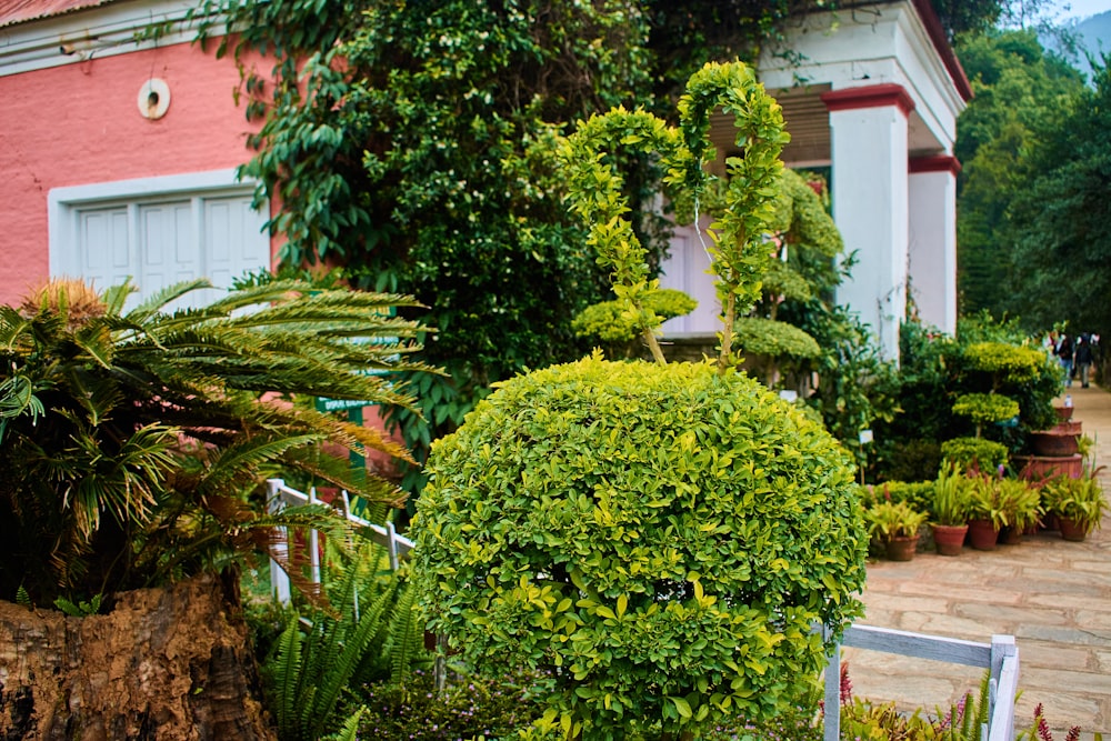 a house with a lot of plants in front of it