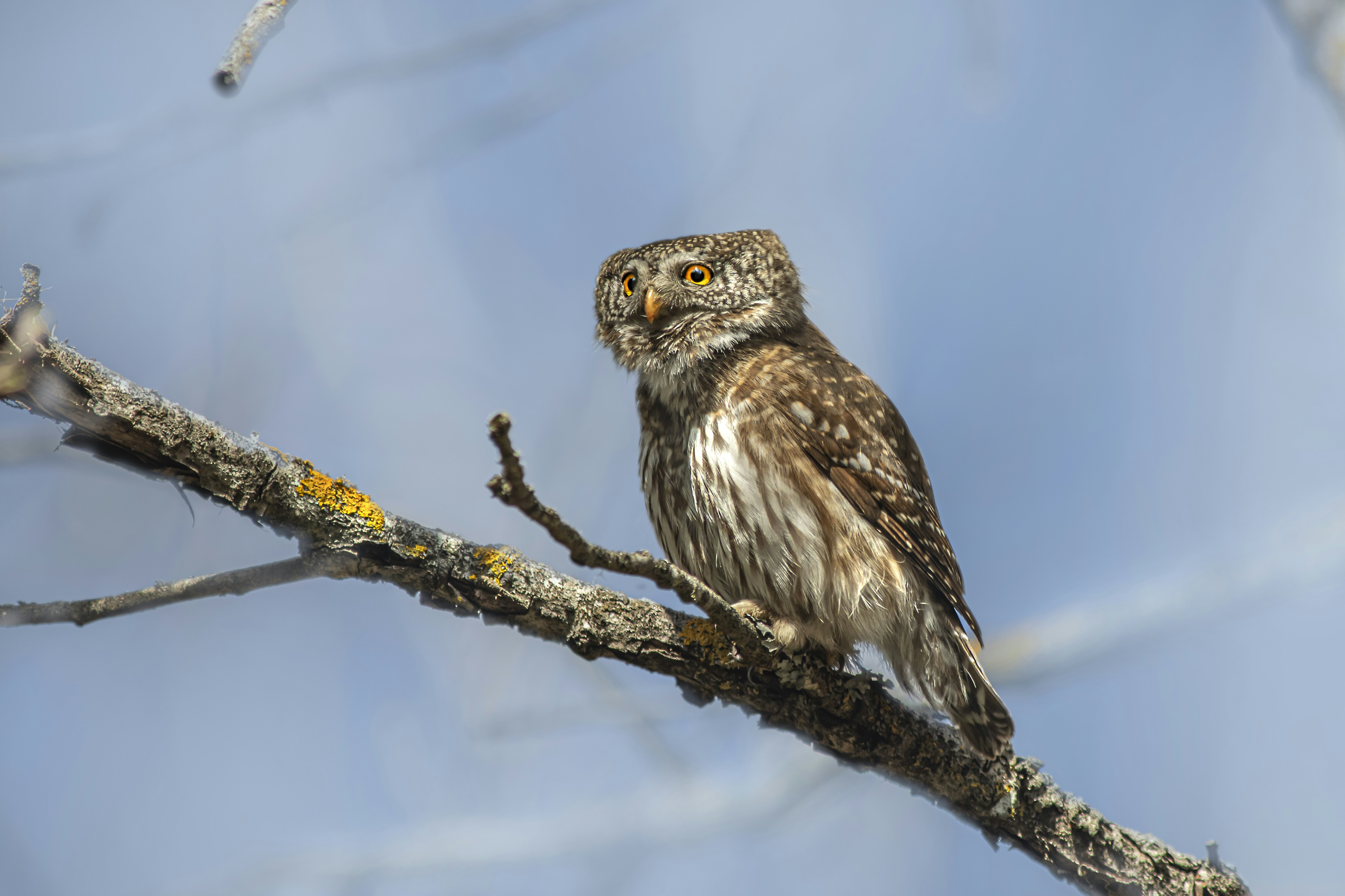 Photo by erik_karits