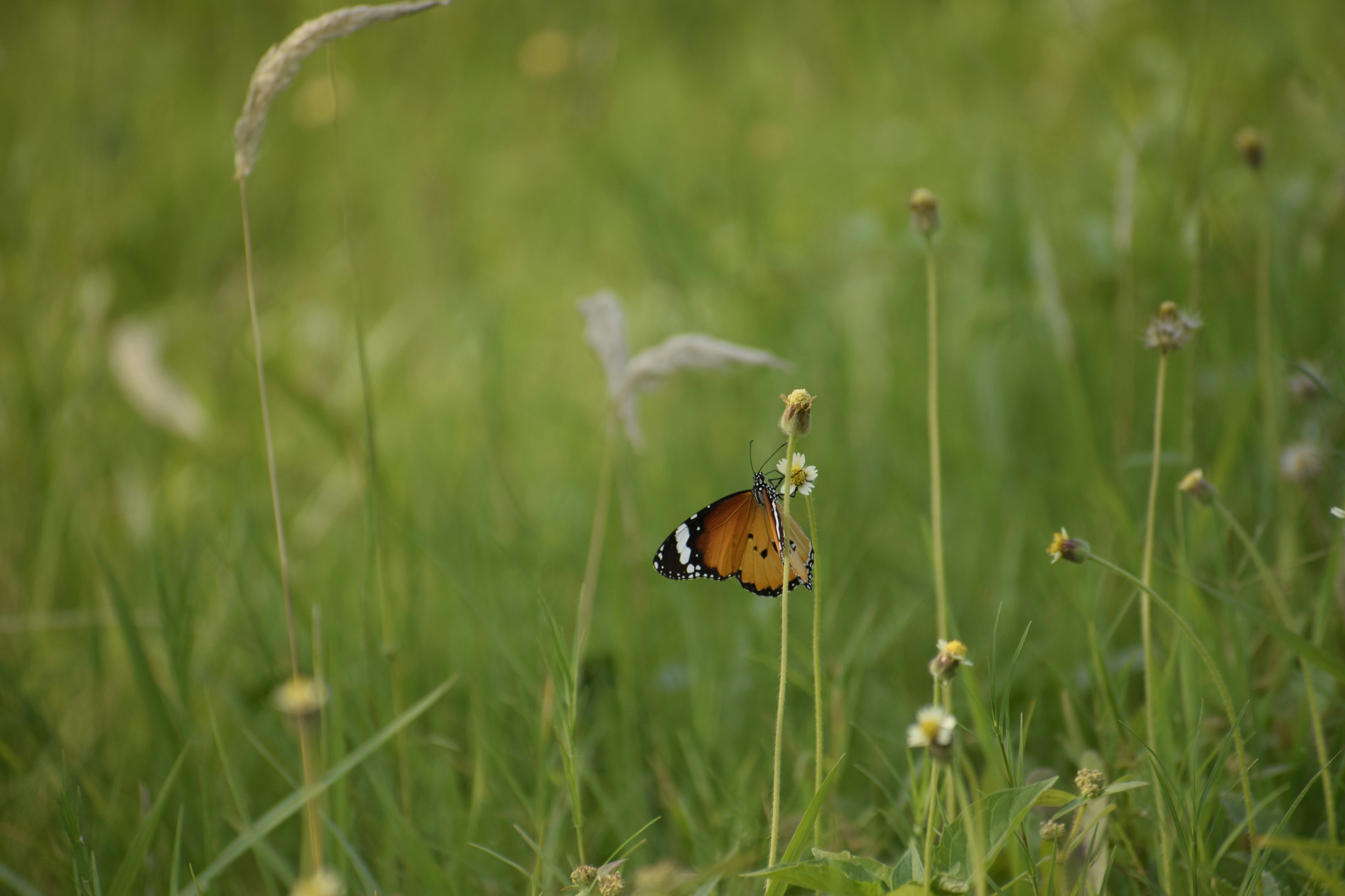 Photo by therealshockwave