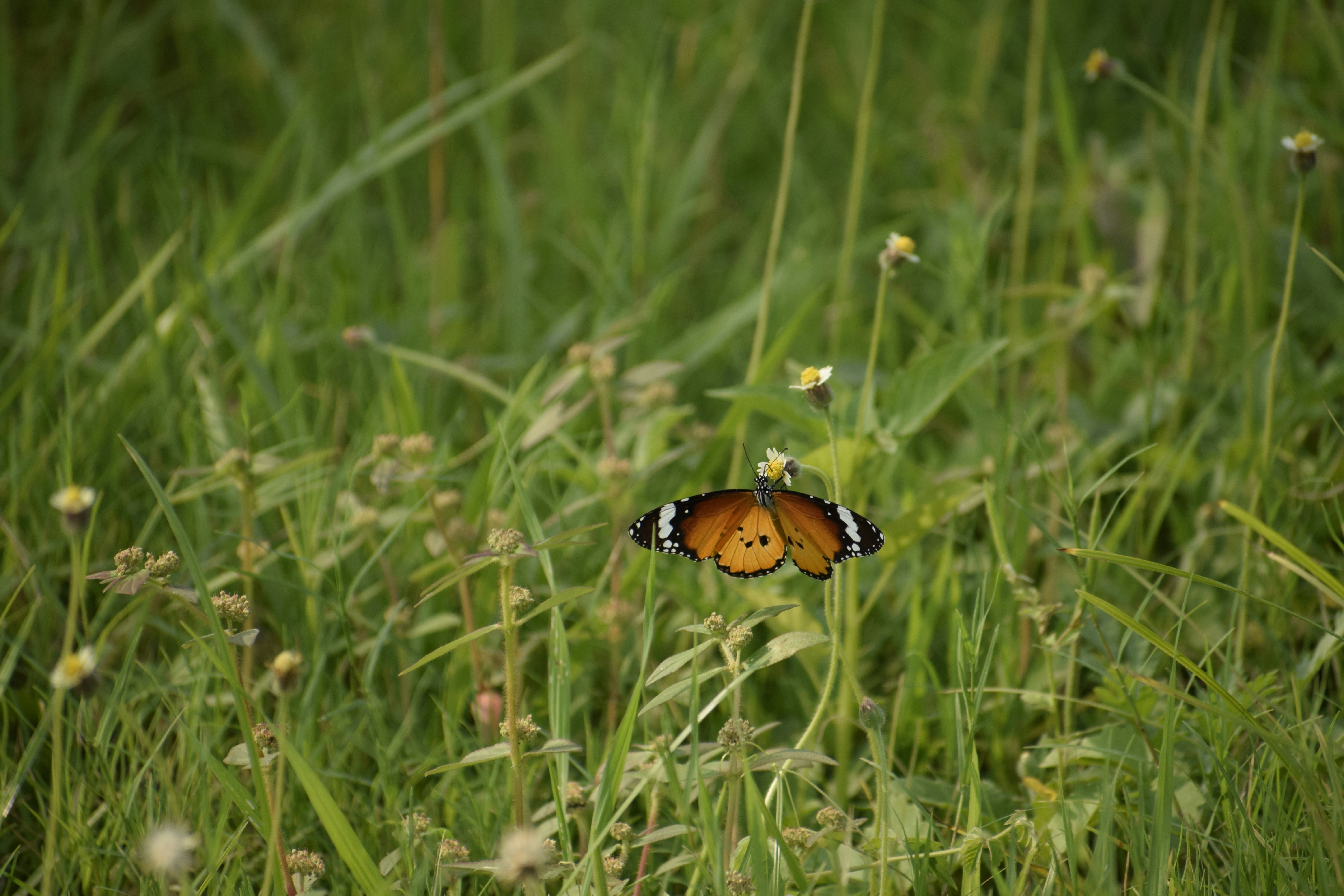 Photo by therealshockwave