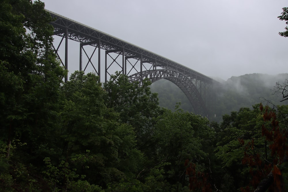 a large bridge over a lush green forest