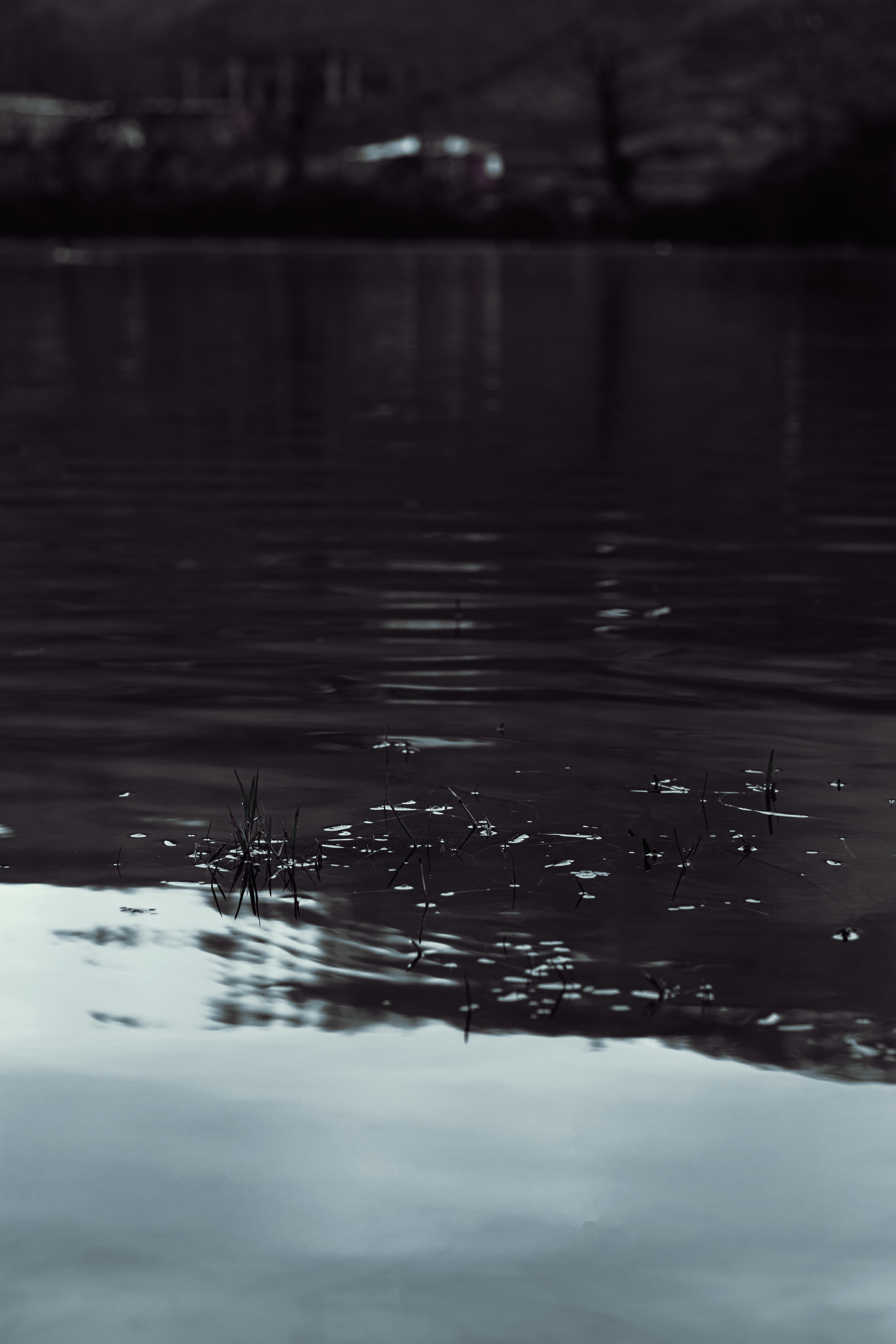 Photo by mahdibafande