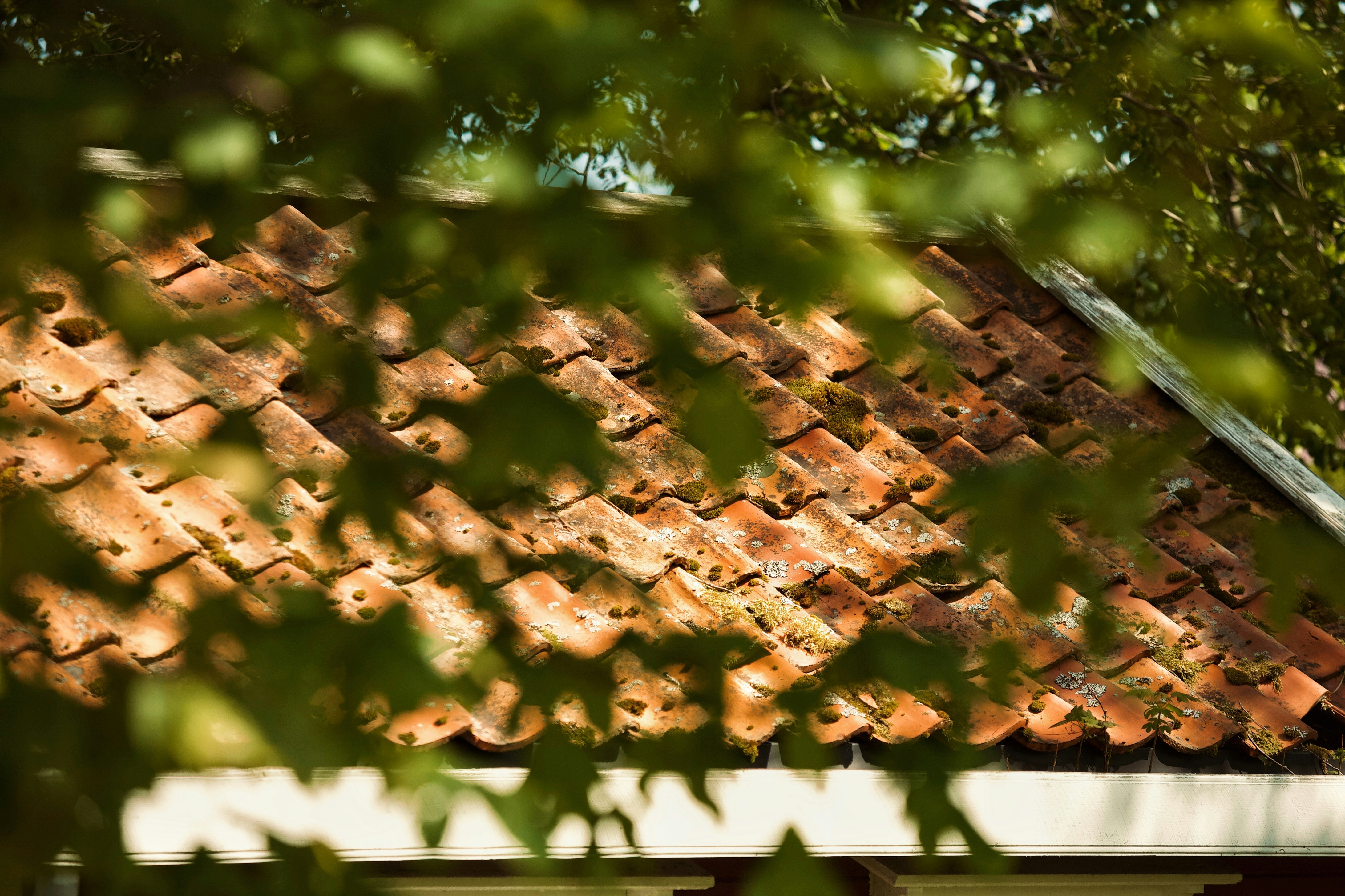 Photo by kristinokarlsen