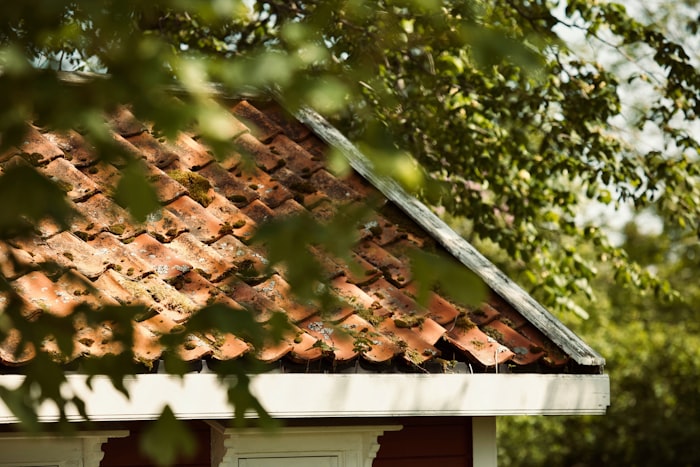Clay tile detail