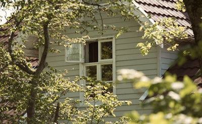 A window on the side of a house is partially obscured by leafy branches from nearby trees. The house has light-colored wooden siding and a roof with dark shingles. Sunlight filters through the leaves, casting dappled shadows on the wall.