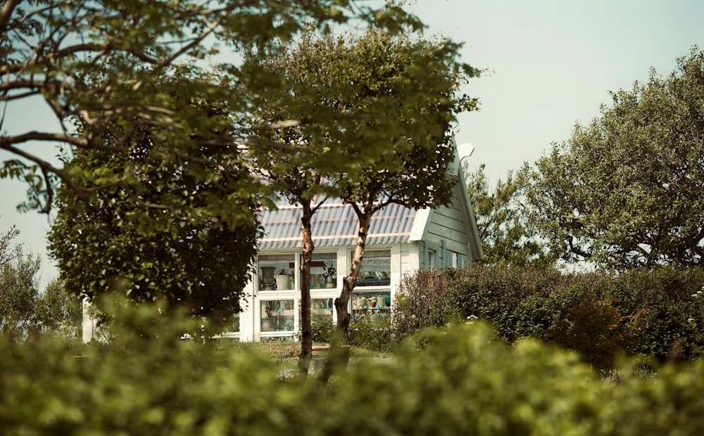 a white house surrounded by trees and bushes