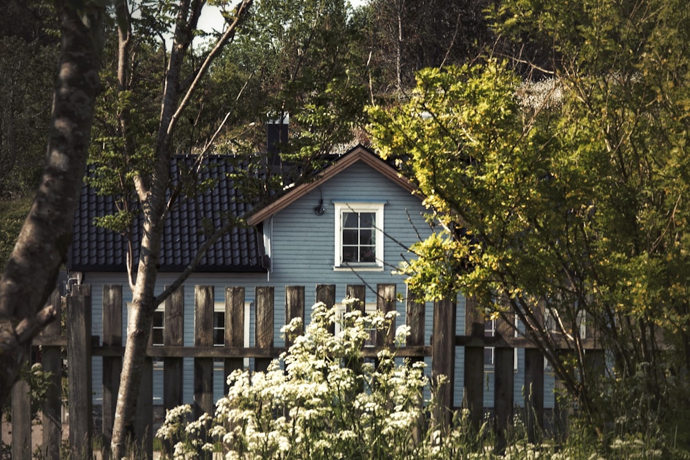 a blue house surrounded by trees and bushes