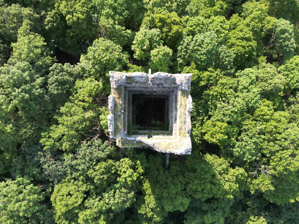an aerial view of a forest with a stone structure in the middle